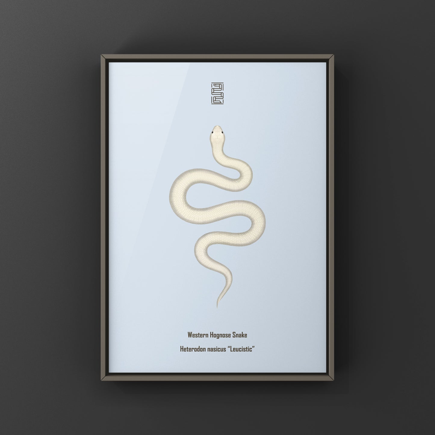 Leucistic Western Hognose Snake art print by The Silk Ranch, showcasing a detailed illustration of the Heterodon nasicus snake.