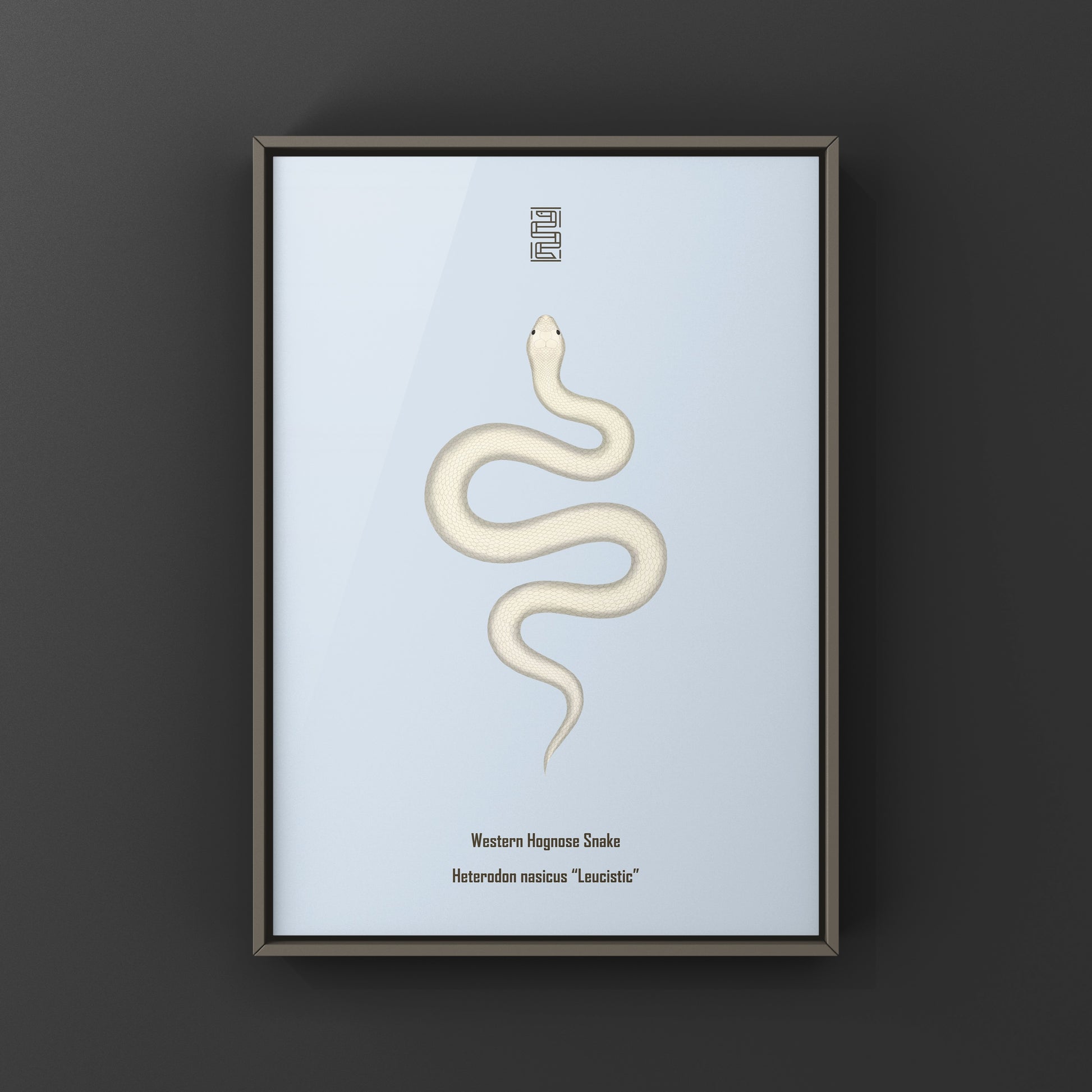 Leucistic Western Hognose Snake art print by The Silk Ranch, showcasing a detailed illustration of the Heterodon nasicus snake.