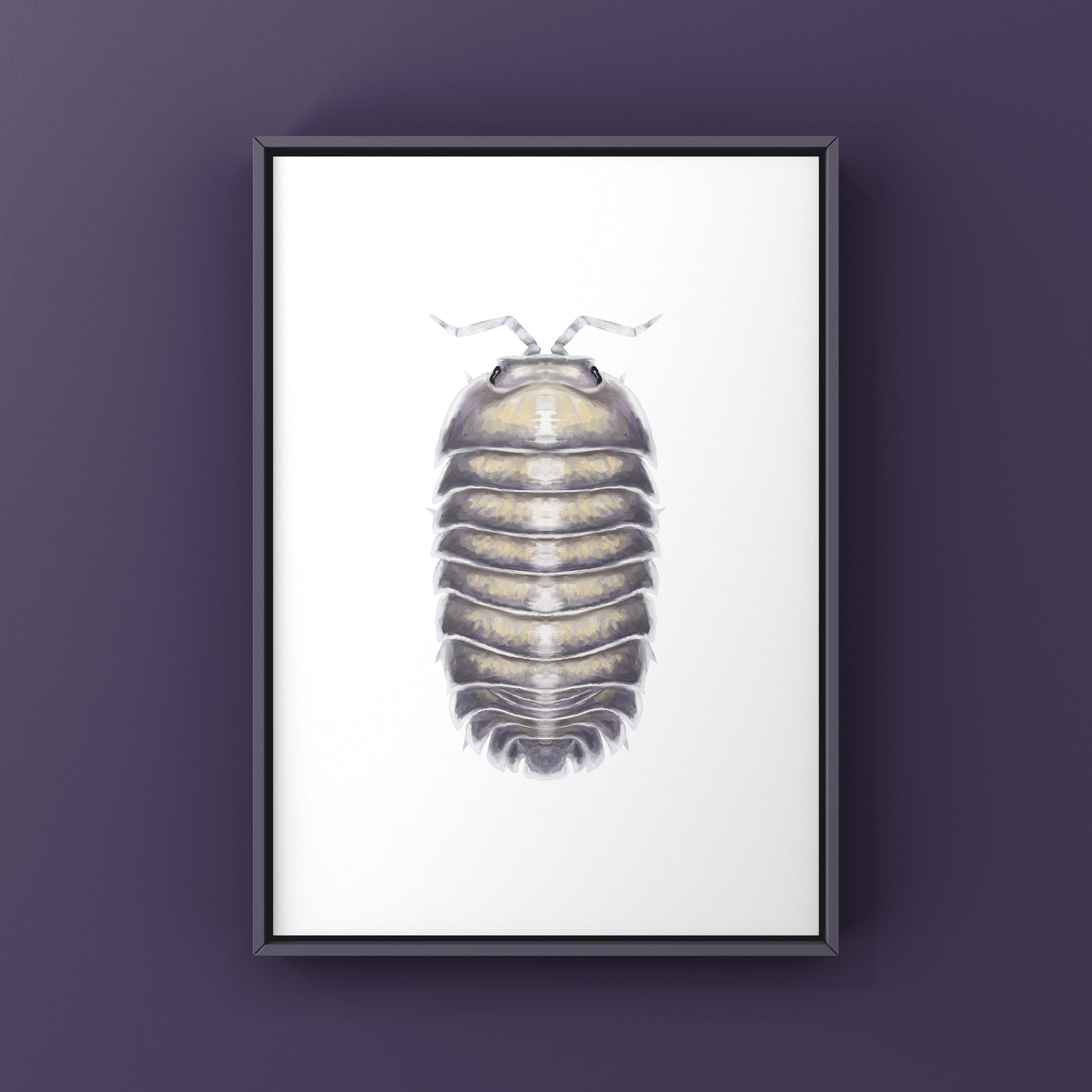 Purple Ghost isopod art print featuring Nesodillo arcangelii, showcasing detailed purple ghost isopod illustration by The Silk Ranch.
