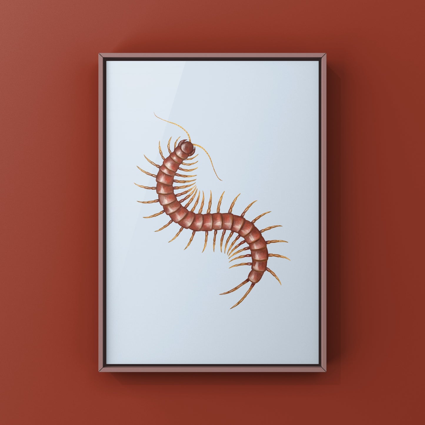 Hispaniola Giant Red Centipede Art Print (Scolopendra alternans)