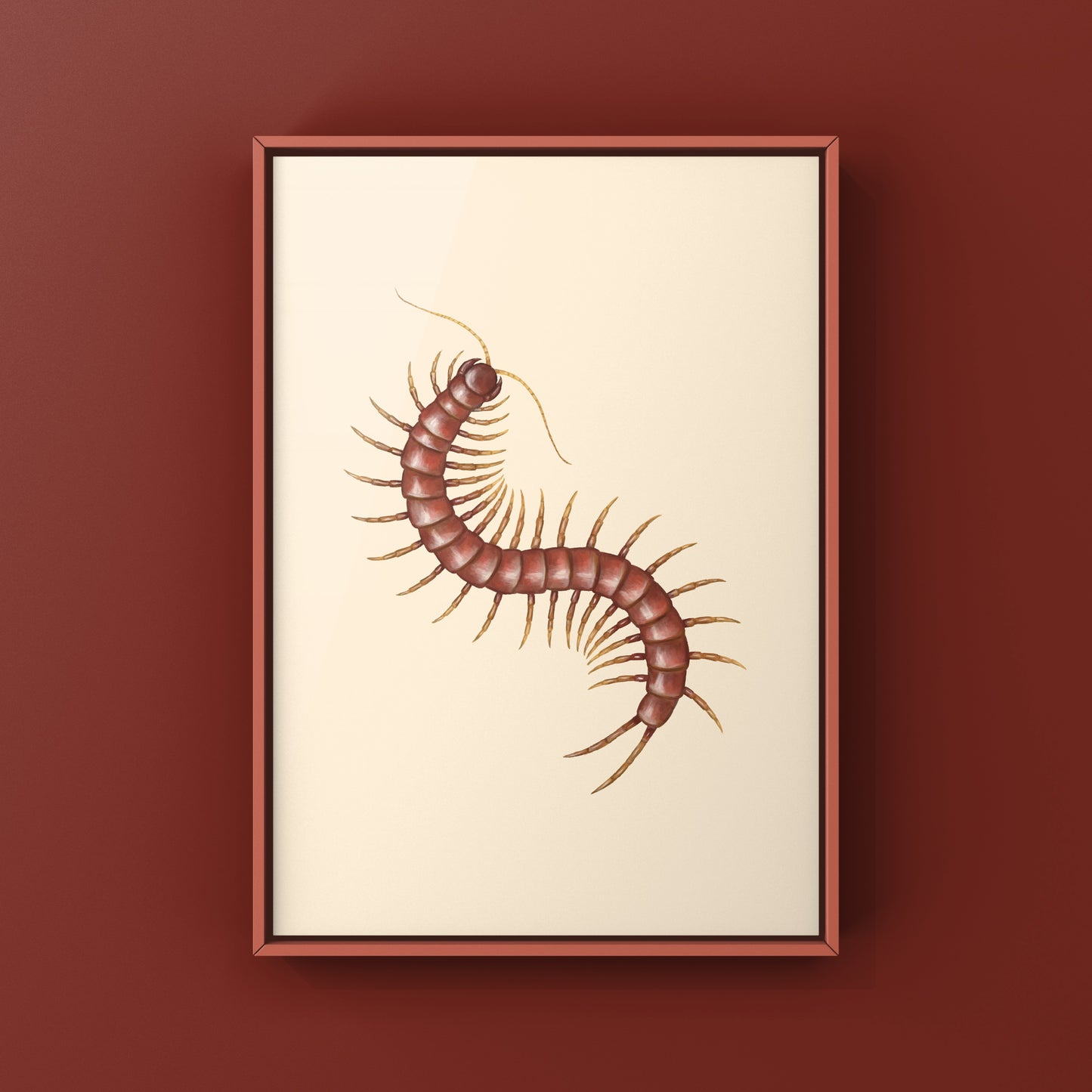 Hispaniola Giant Red Centipede Art Print (Scolopendra alternans)