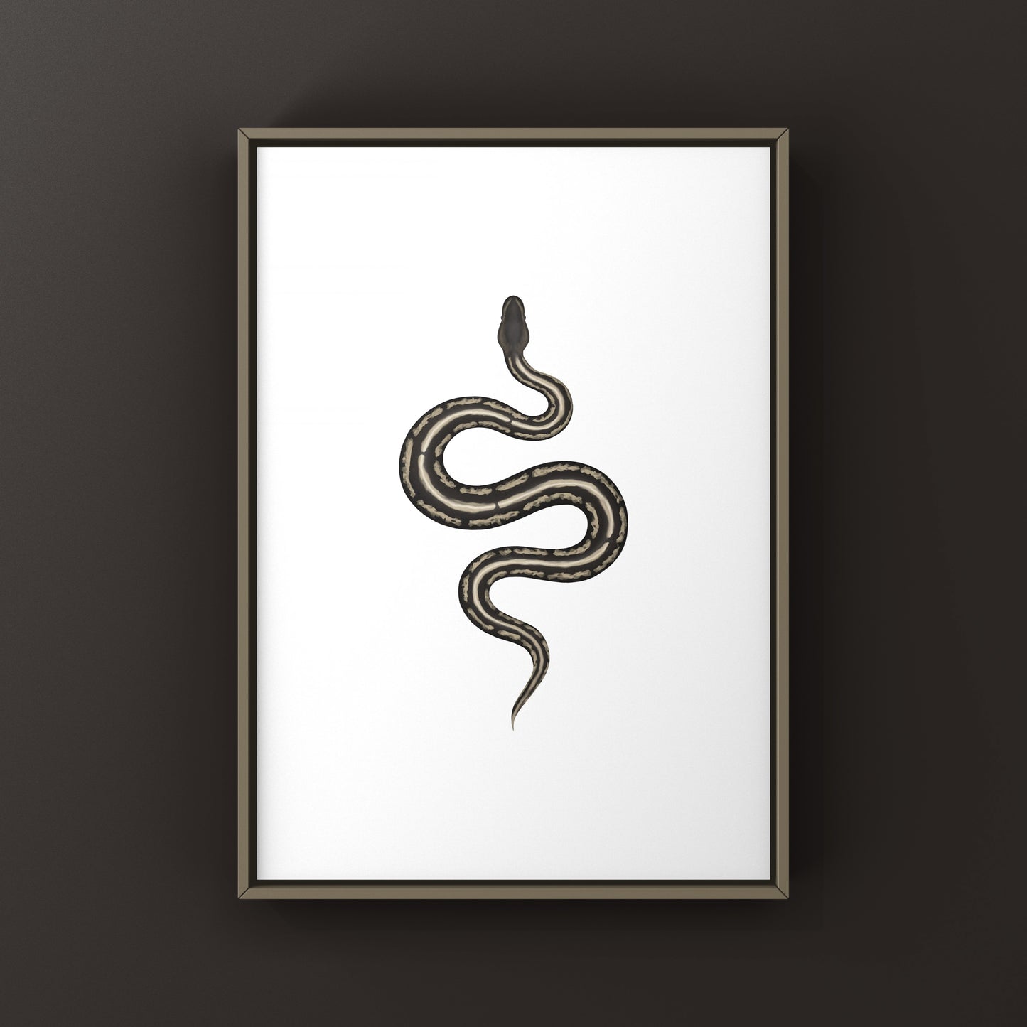 Cinnamon Mahogany Ball Python Ball Python Art Print (Python regius)
