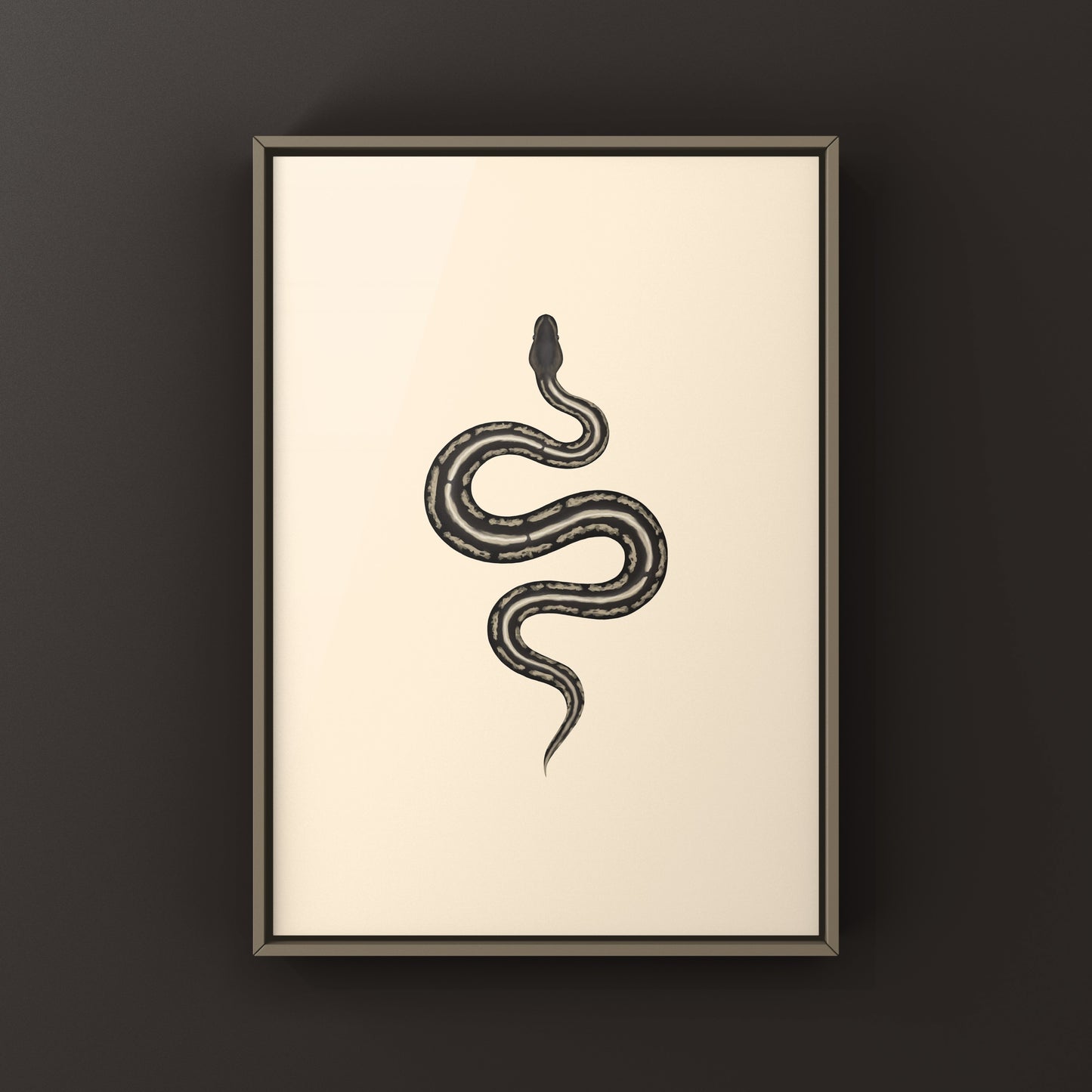 Cinnamon Mahogany Ball Python Ball Python Art Print (Python regius)