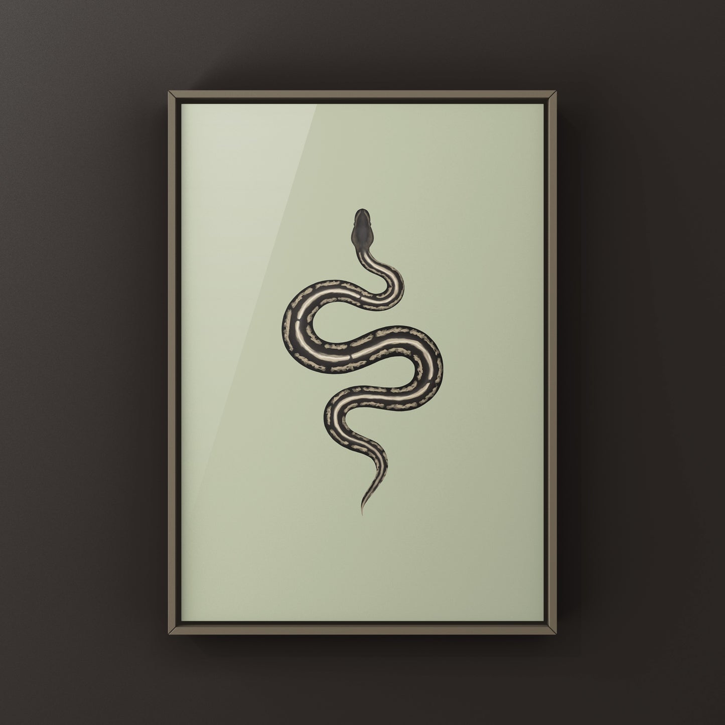 Cinnamon Mahogany Ball Python Ball Python Art Print (Python regius)