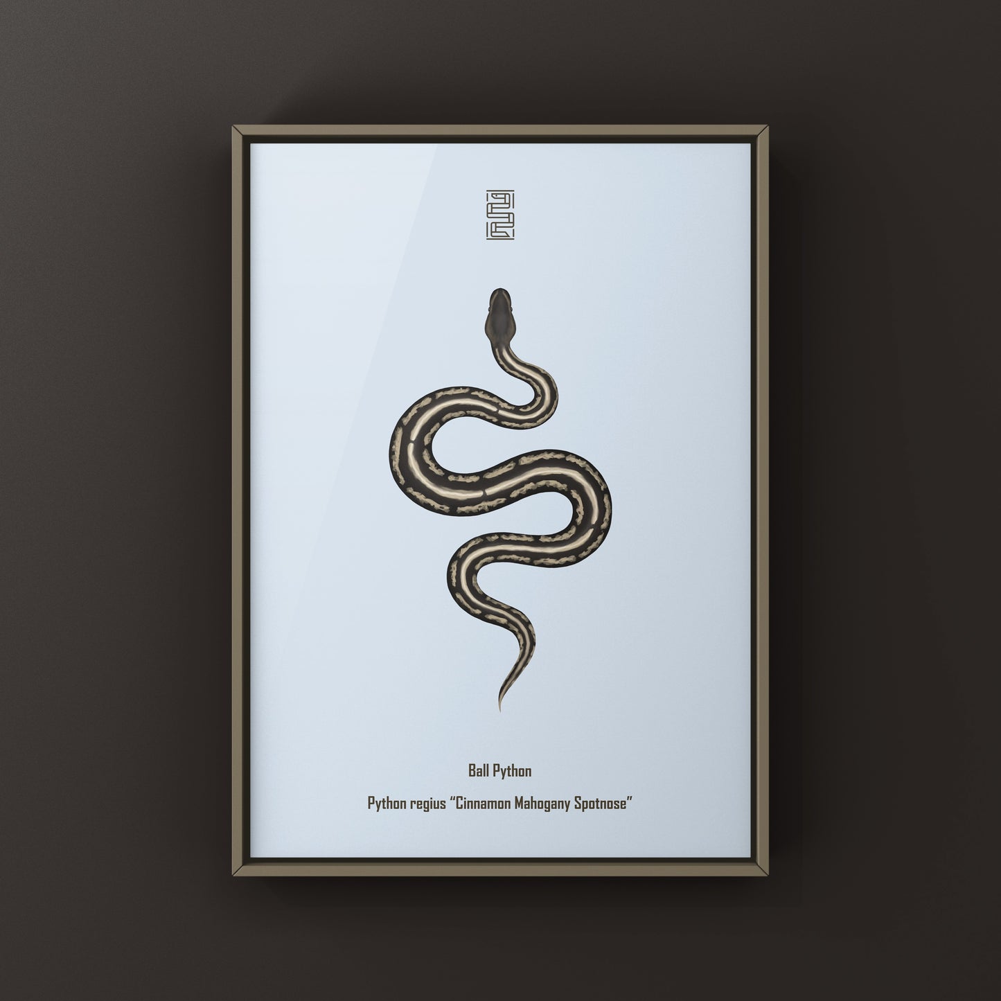 Cinnamon Mahogany Ball Python Ball Python Art Print (Python regius)