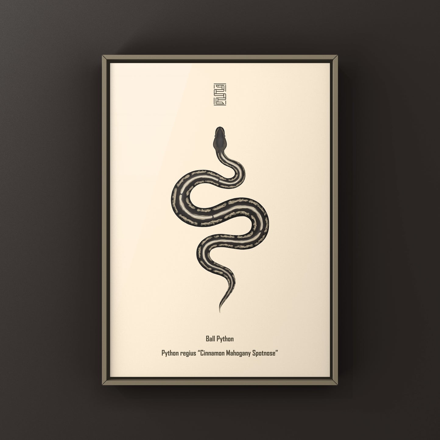 Cinnamon Mahogany Ball Python Ball Python Art Print (Python regius)