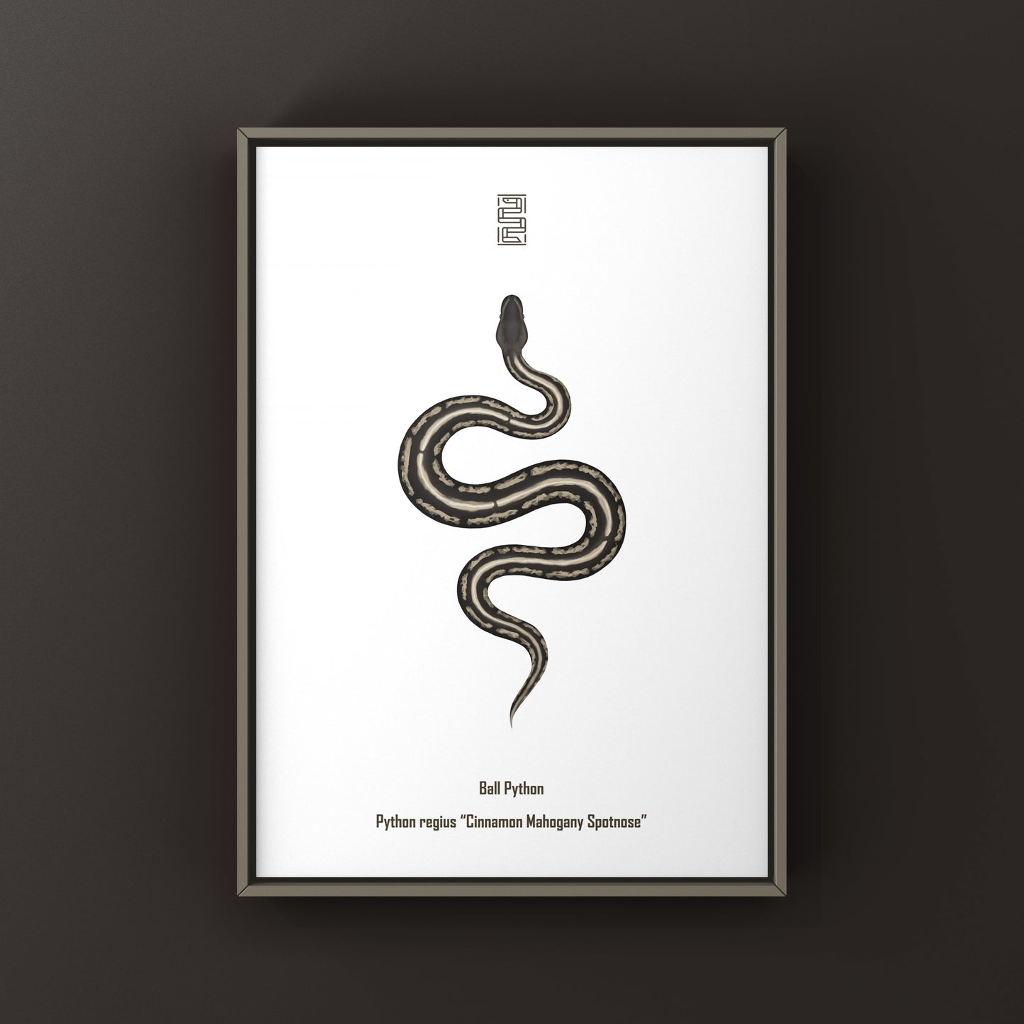Cinnamon Mahogany Ball Python Ball Python Art Print (Python regius)