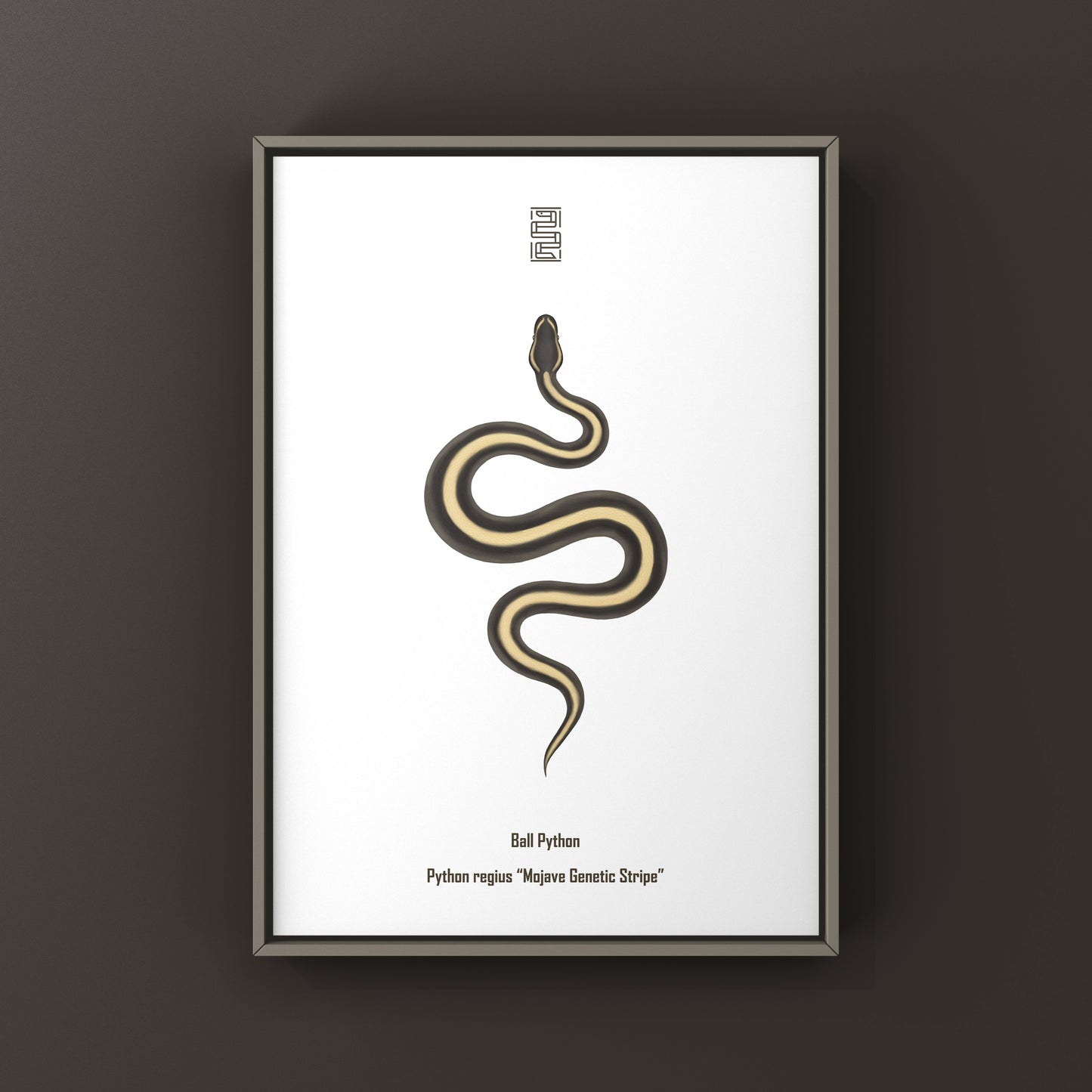 Mojave Genetic Stripe Ball Python Art Print (Python regius)