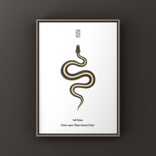 Mojave Genetic Stripe Ball Python Art Print (Python regius) from The Silk Ranch