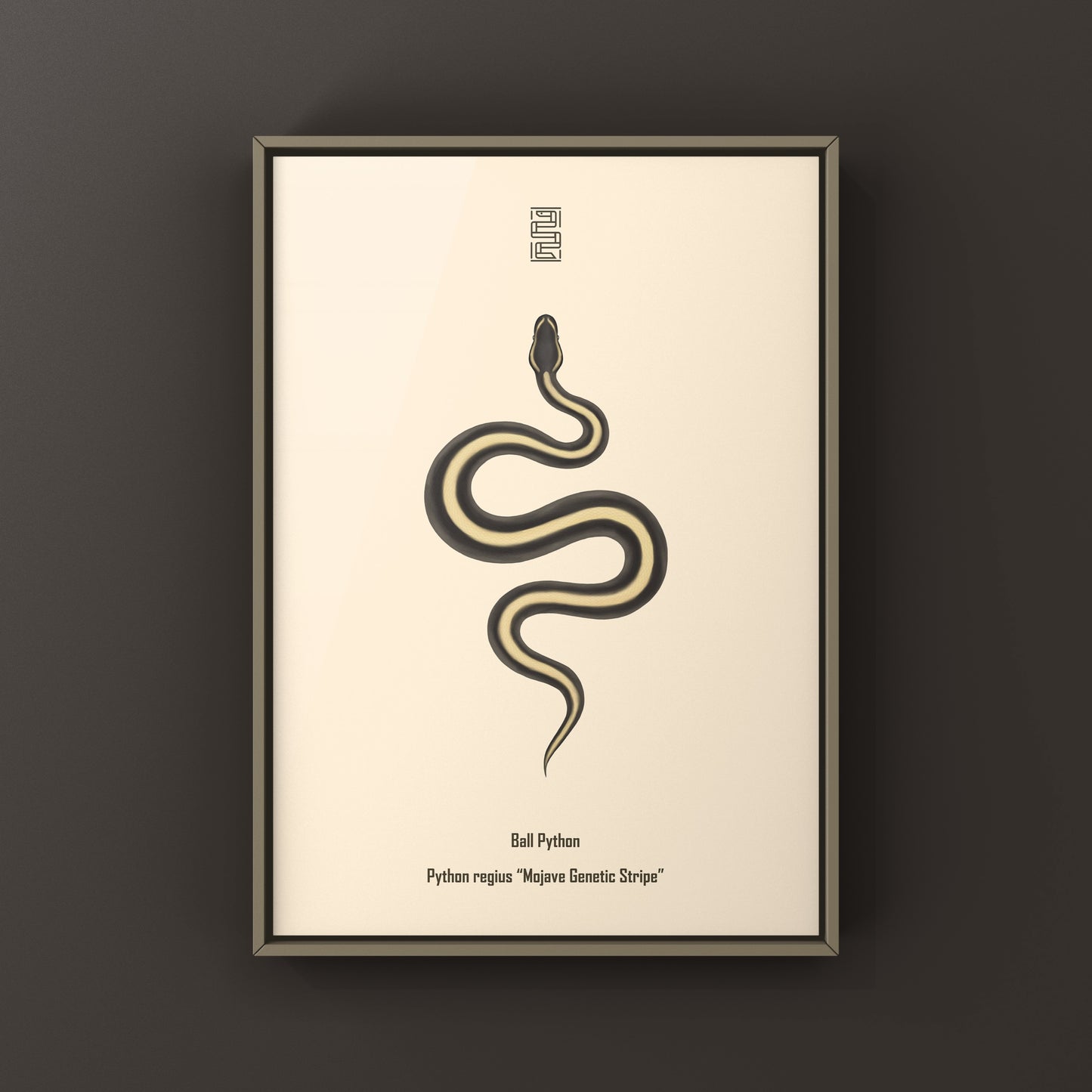 Mojave Genetic Stripe Ball Python Art Print (Python regius)
