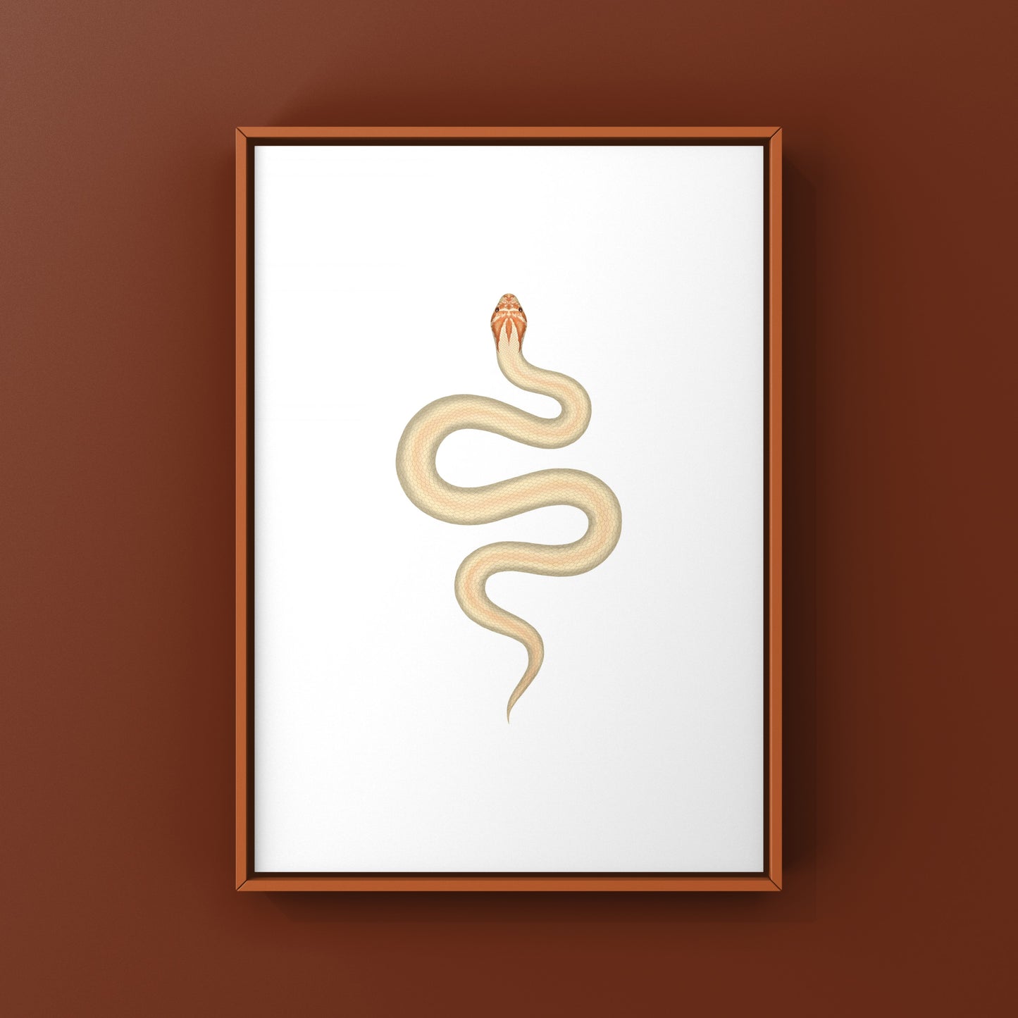 Albino Super Anaconda Western Hognose Snake Art Print (Heterodon nasicus)
