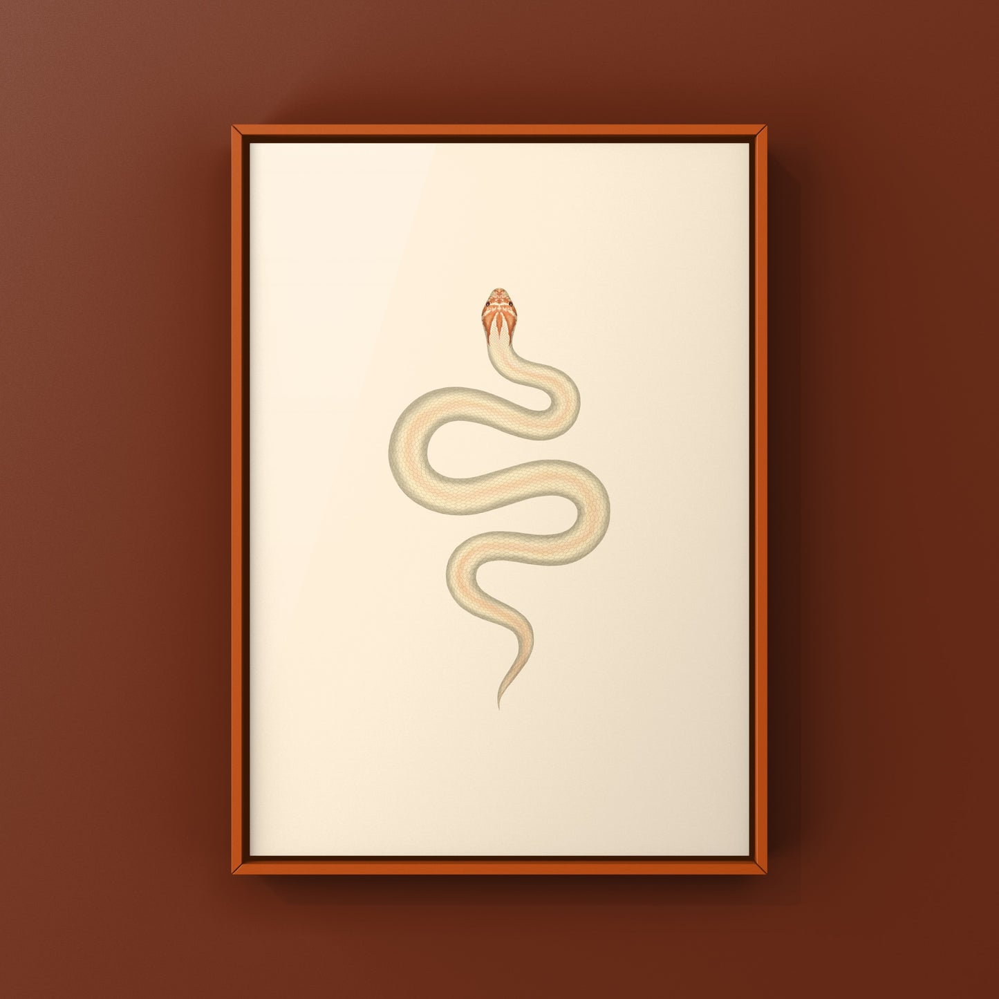 Albino Super Anaconda Western Hognose Snake Art Print (Heterodon nasicus)