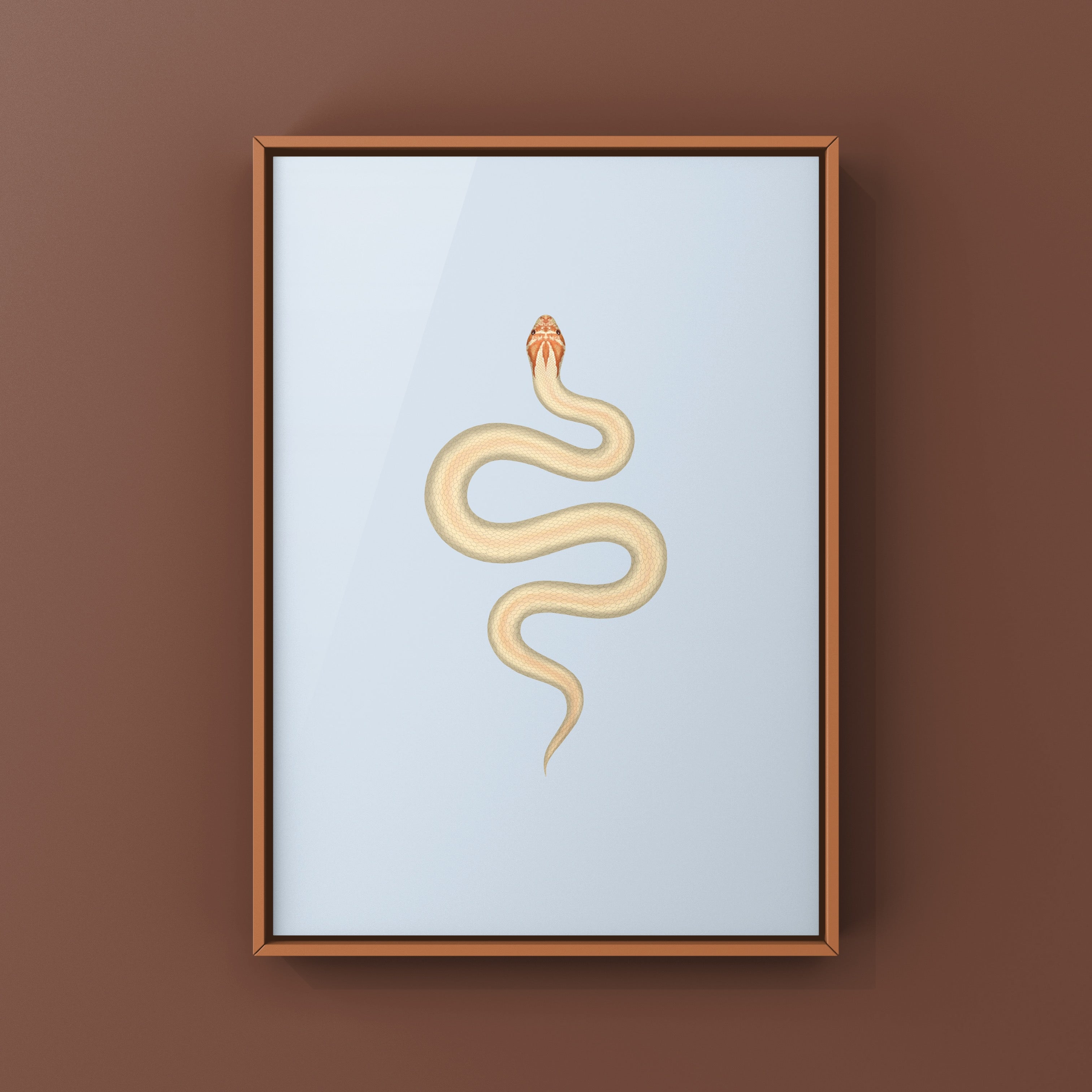Super Anaconda Western Hognose Snake Art Print (Heterodon nasicus