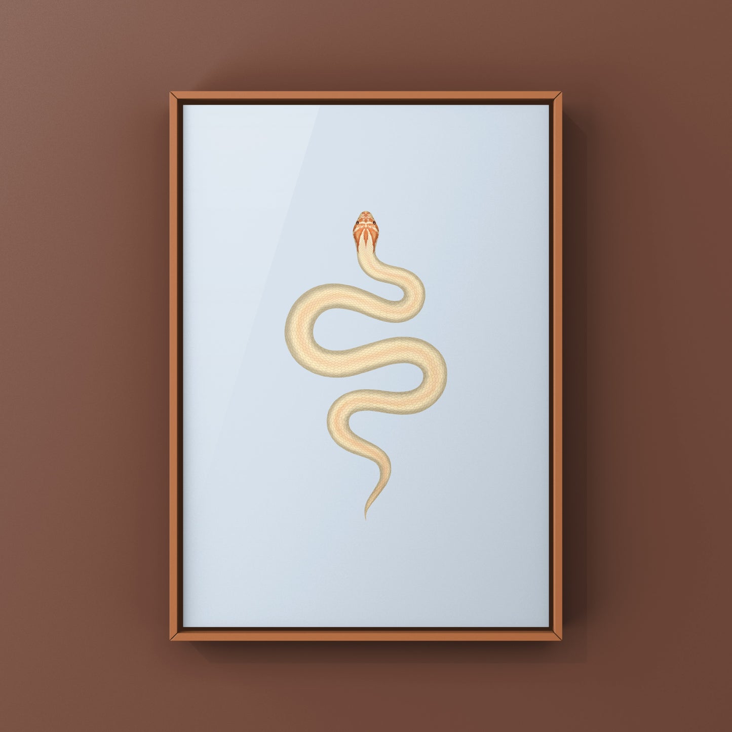 Albino Super Anaconda Western Hognose Snake Art Print (Heterodon nasicus)
