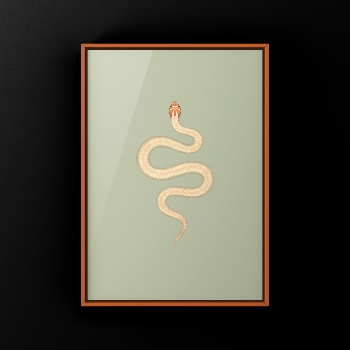 Albino Super Anaconda Western Hognose Snake Art Print (Heterodon nasicus)