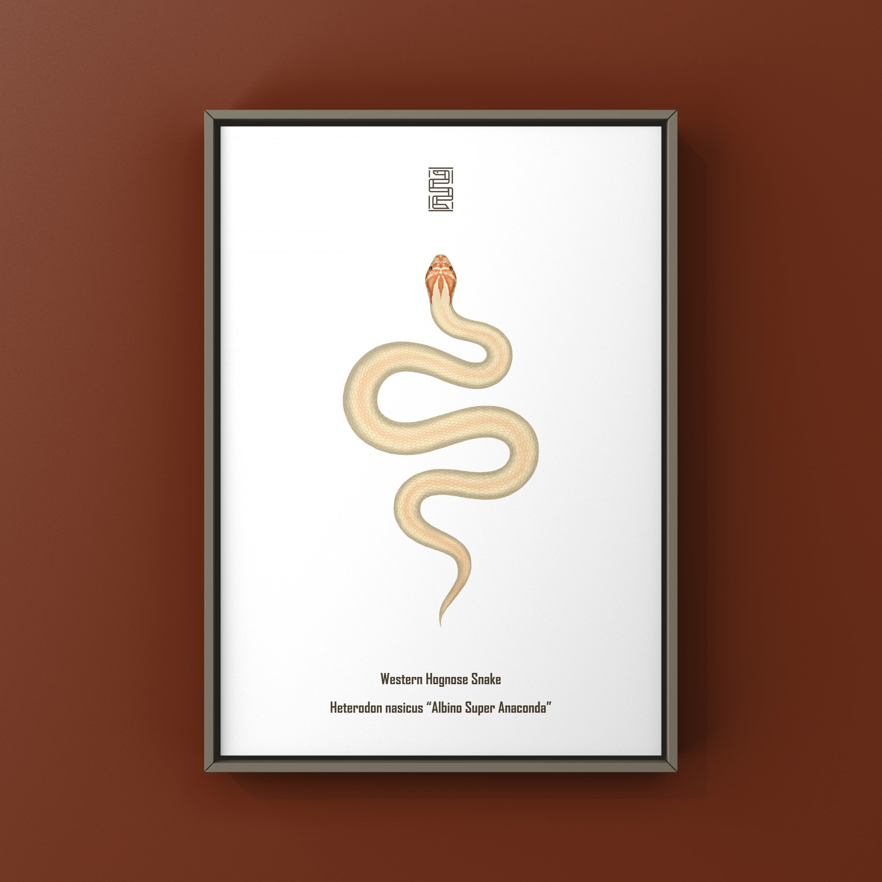 90s Whitesnake Anaconda Motif ロンT グランジ Super Anaconda Western Hognose Snake Art Print (Heterodon nasicus