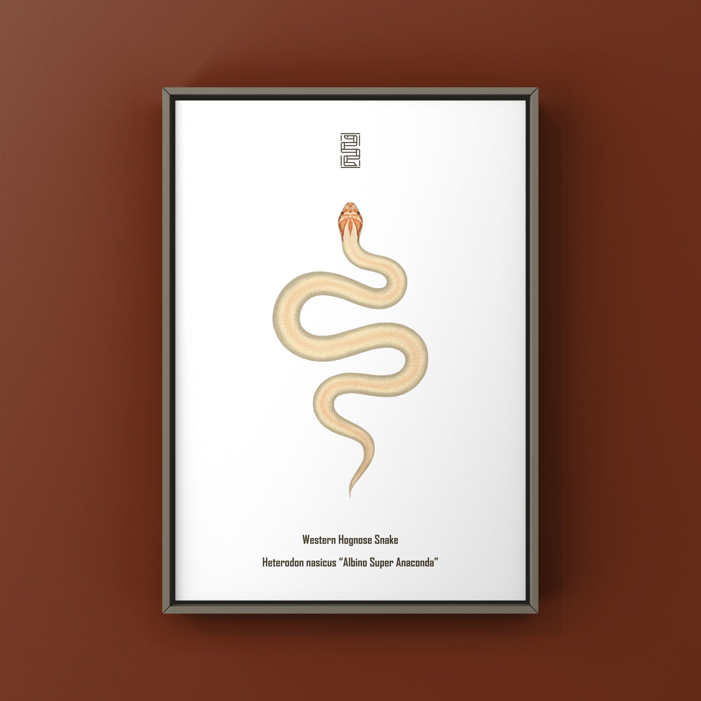 Albino Super Anaconda Western Hognose Snake Art Print (Heterodon nasicus)