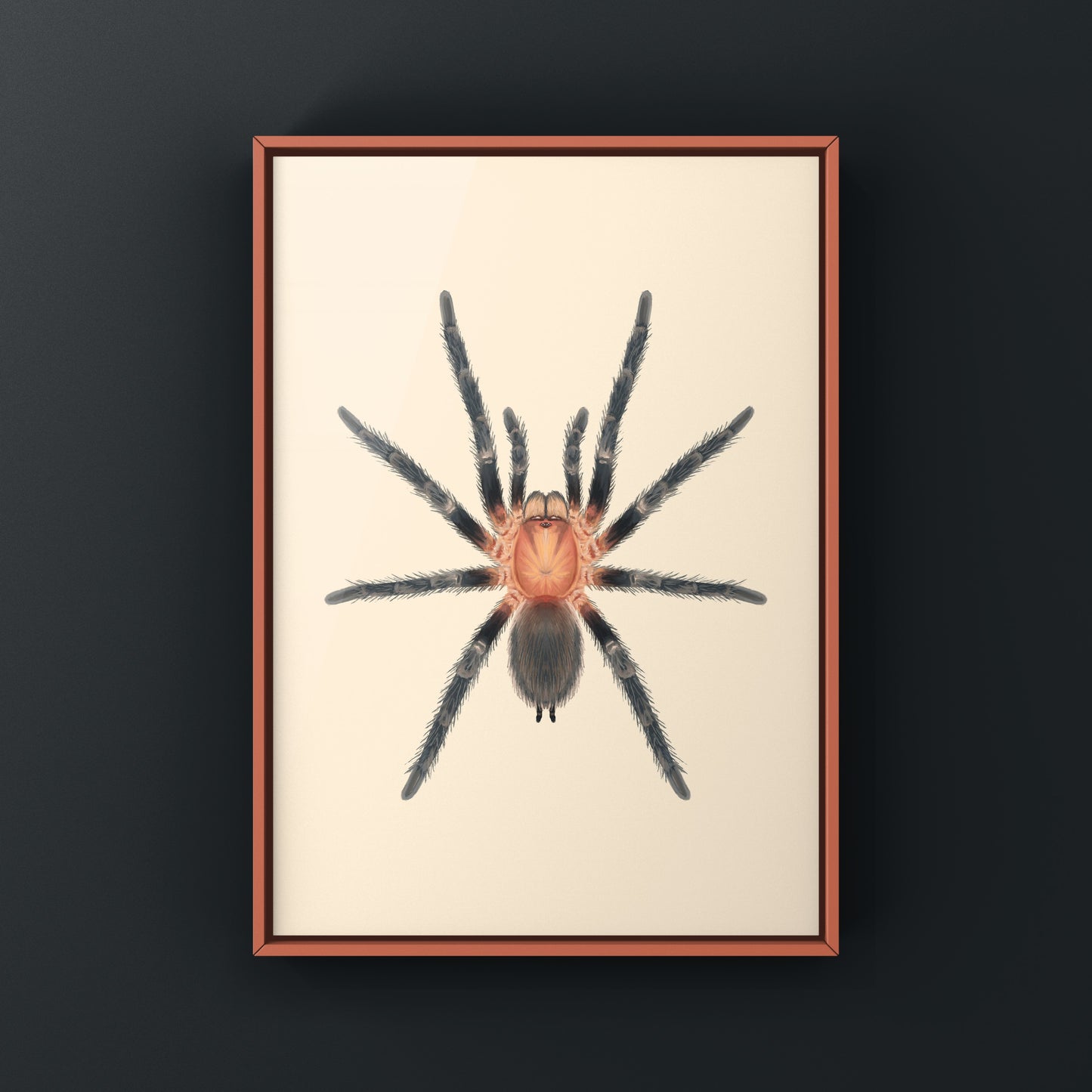 Trinidad Pink Tarantula Art Print (Holothele longipes)