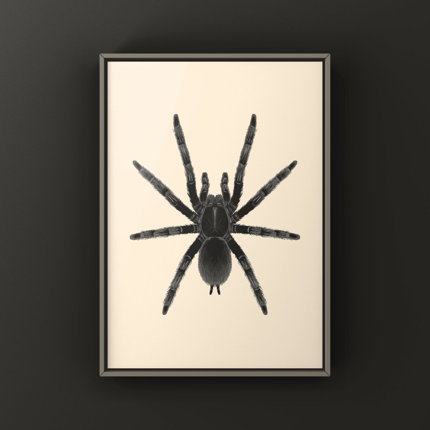 Dark Earth Tiger Tarantula Art Print (Chilobrachys sp. Kaeng Krachan)