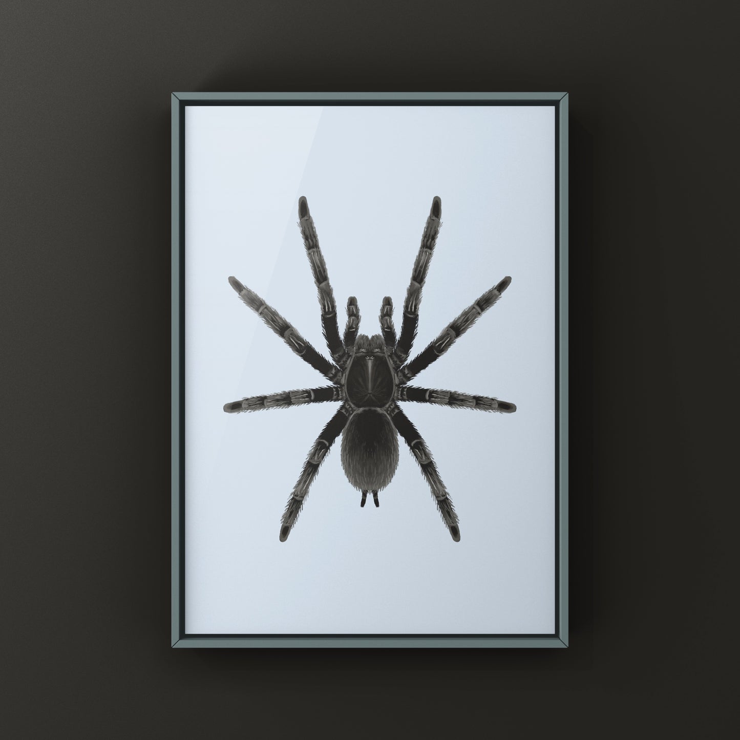 Dark Earth Tiger Tarantula Art Print (Chilobrachys sp. Kaeng Krachan)