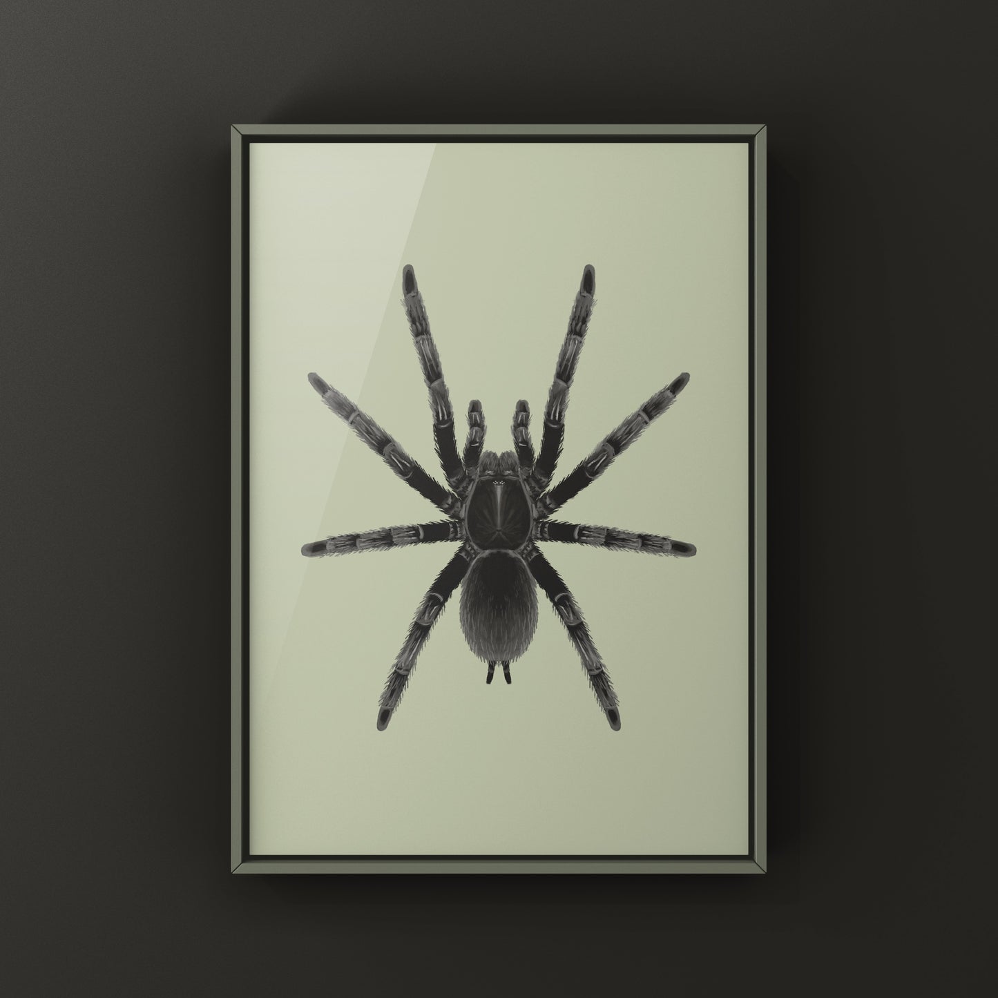 Dark Earth Tiger Tarantula Art Print (Chilobrachys sp. Kaeng Krachan)