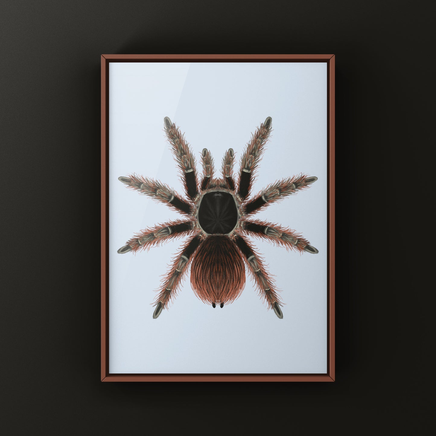 Brazilian Red Tarantula Art Print (Nhandu carapoensis)