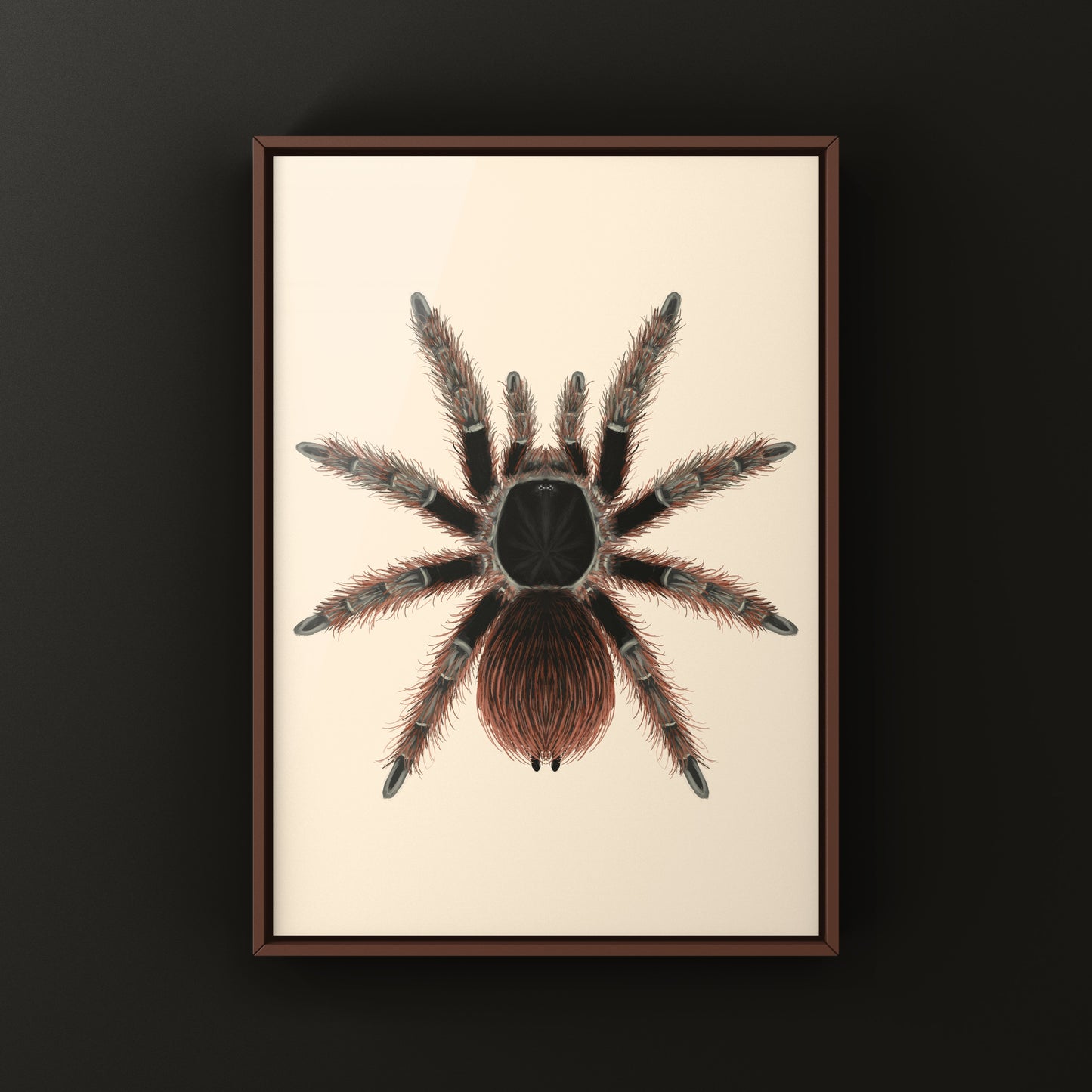 Brazilian Red Tarantula Art Print (Nhandu carapoensis)