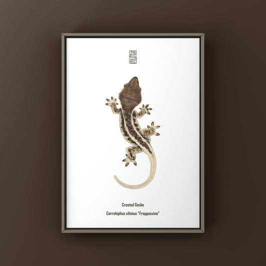 Frappuccino Crested Gecko Art Print (Correlophus ciliatus) from The Silk Ranch