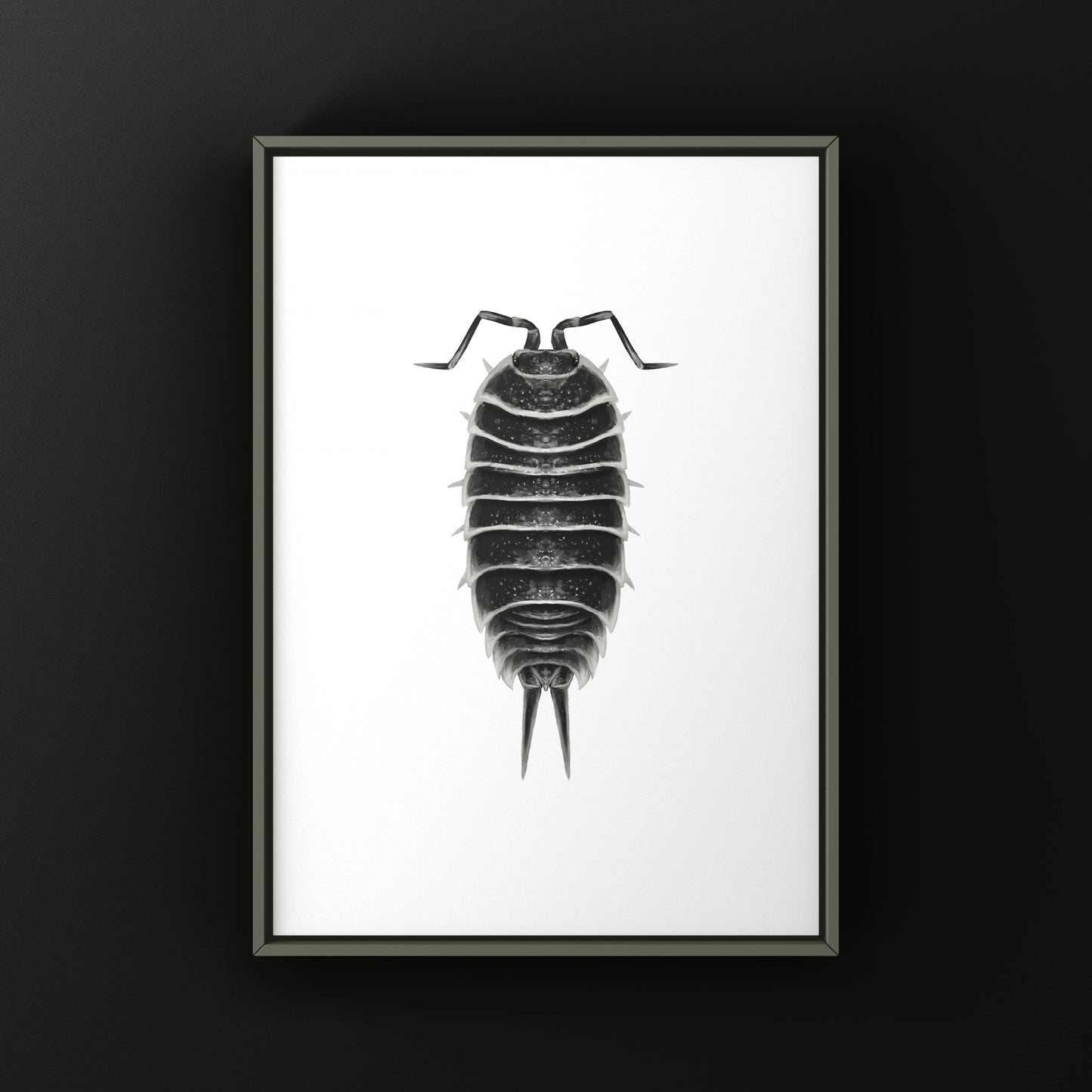 Hoffmannseggi Isopod Art Print (Porcellio hoffmannseggi)