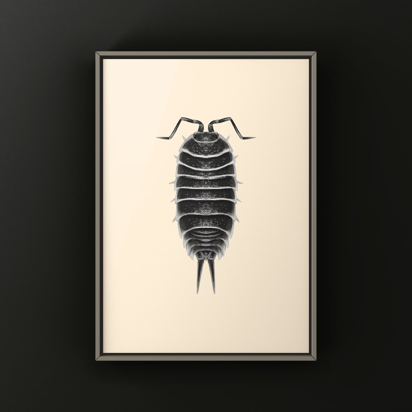 Hoffmannseggi Isopod Art Print (Porcellio hoffmannseggi)