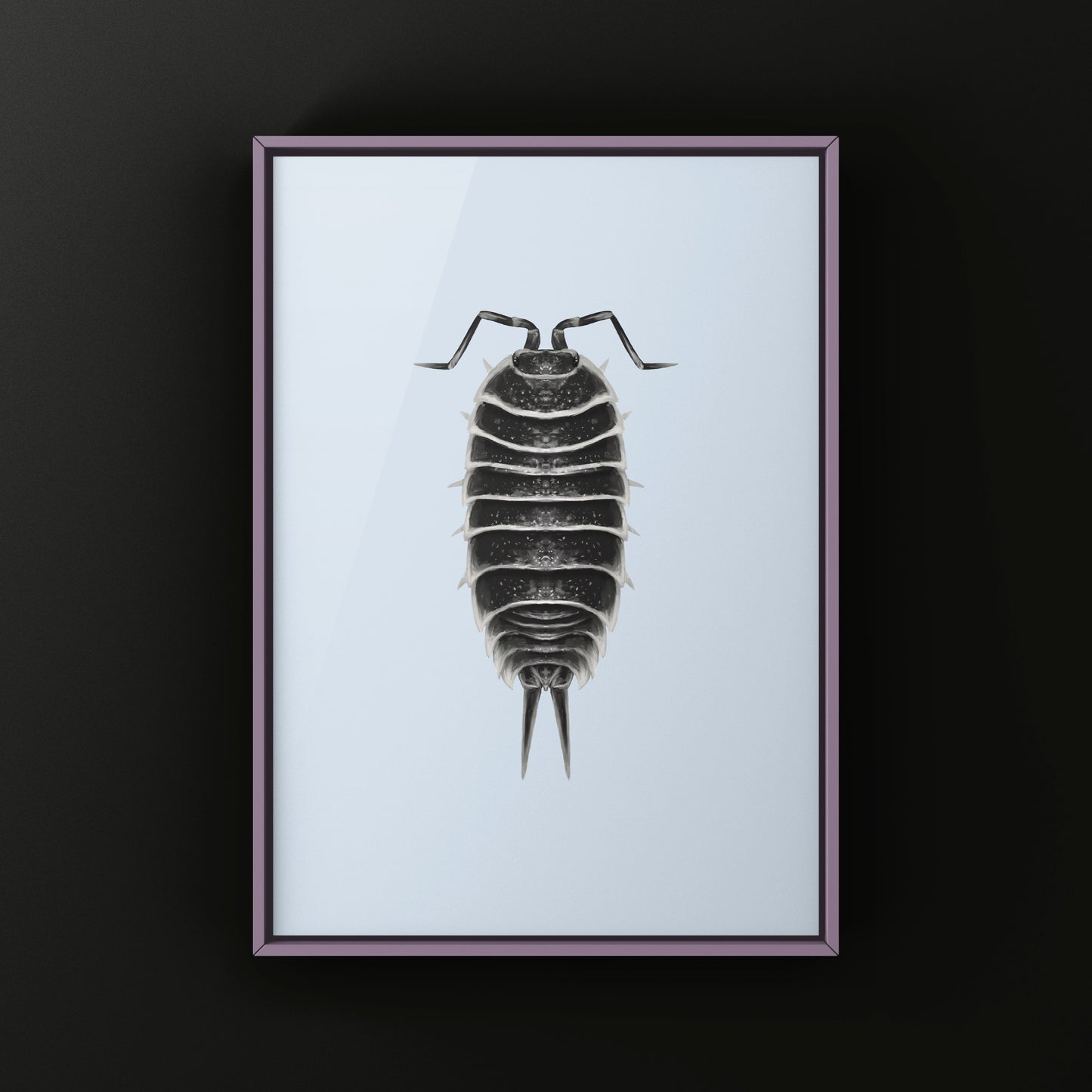 Hoffmannseggi Isopod Art Print (Porcellio hoffmannseggi)
