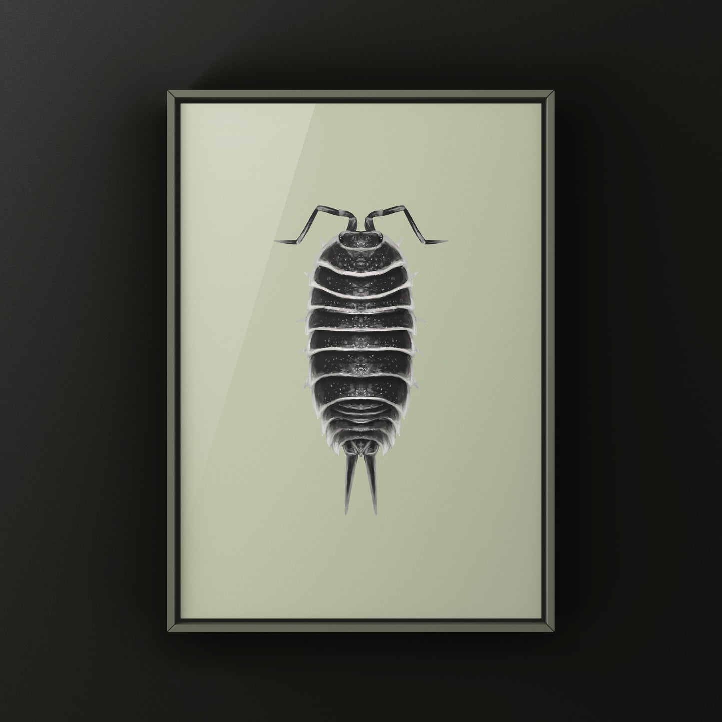 Hoffmannseggi Isopod Art Print (Porcellio hoffmannseggi)