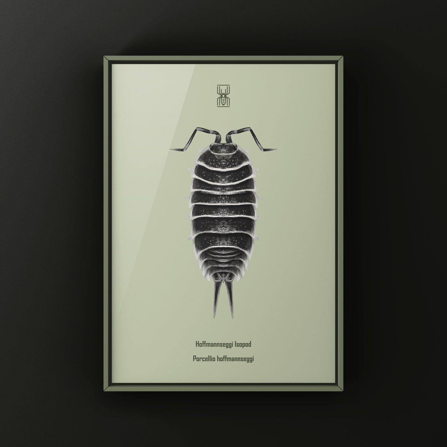 Hoffmannseggi Isopod Art Print (Porcellio hoffmannseggi)