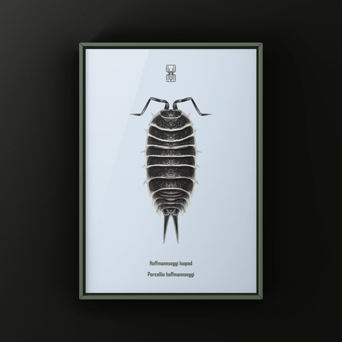 Hoffmannseggi Isopod Art Print (Porcellio hoffmannseggi)