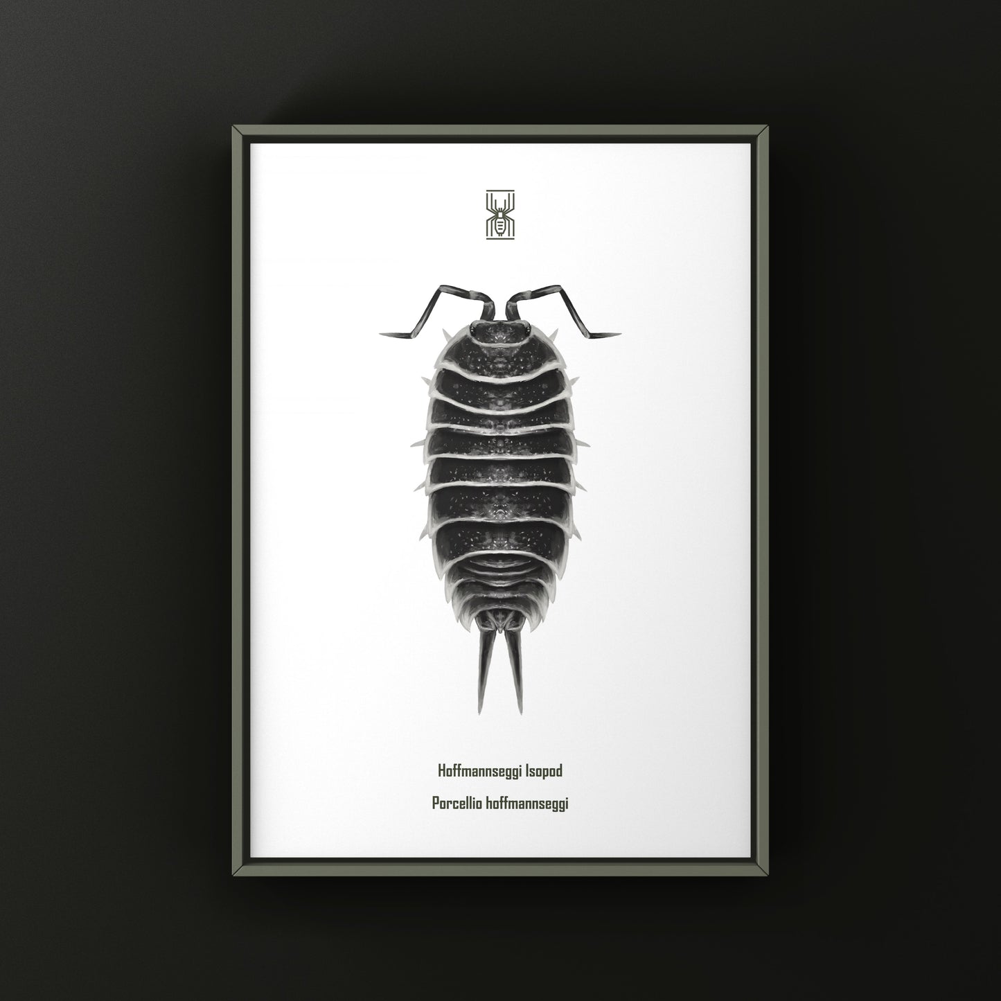 Hoffmannseggi Isopod Art Print (Porcellio hoffmannseggi)
