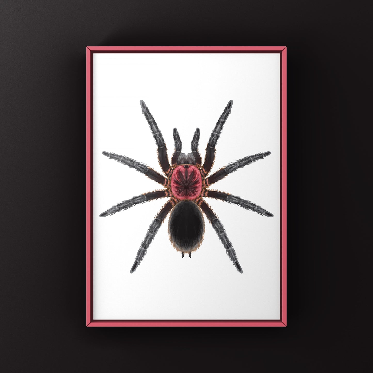 Tapajos Pink Head Tarantula Art Print (Bumba tapajos)
