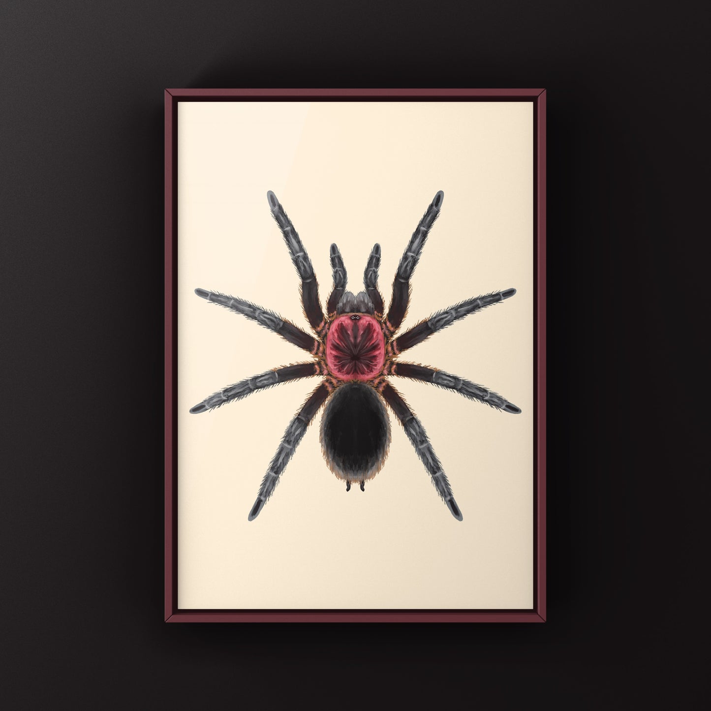 Tapajos Pink Head Tarantula Art Print (Bumba tapajos)