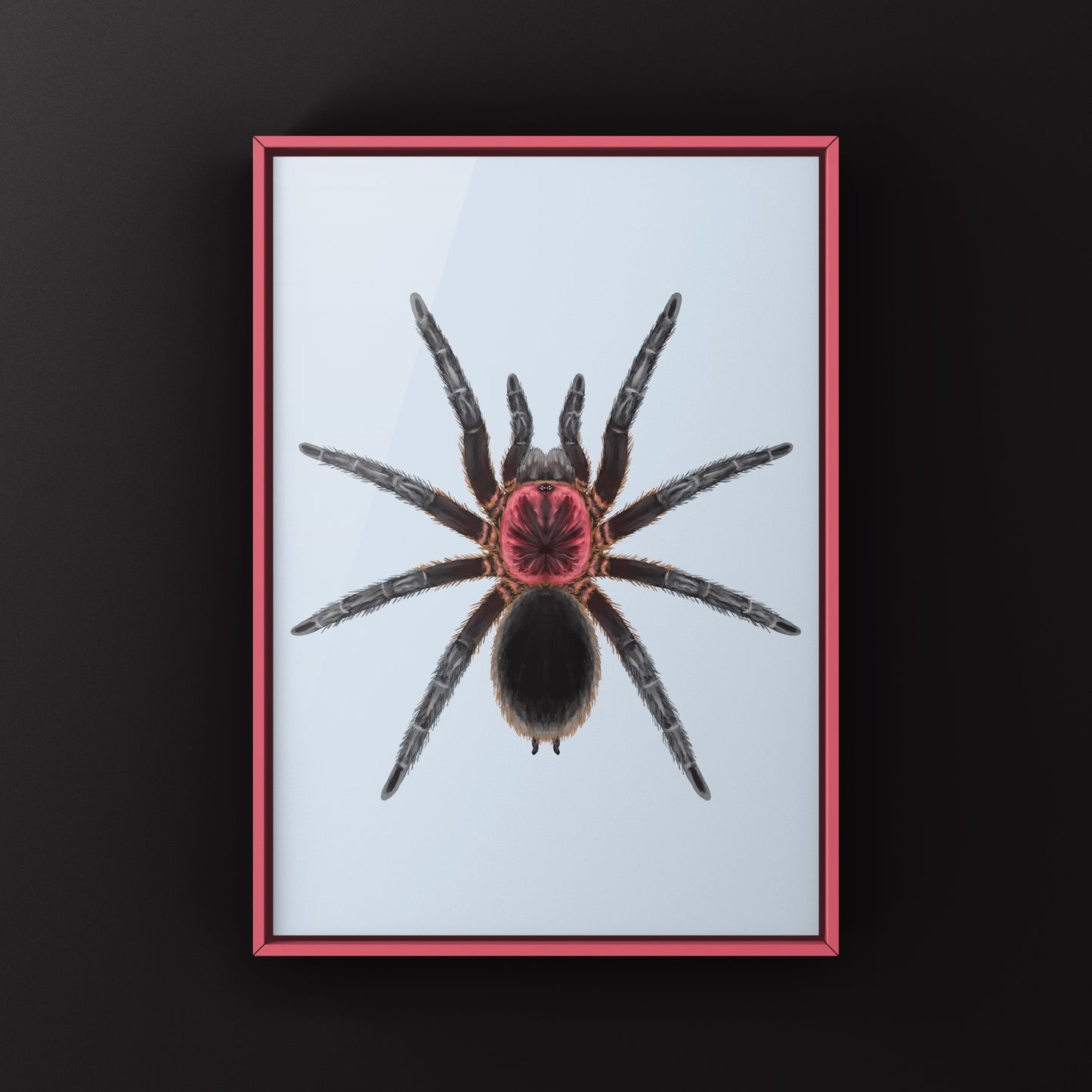 Tapajos Pink Head Tarantula Art Print (Bumba tapajos)
