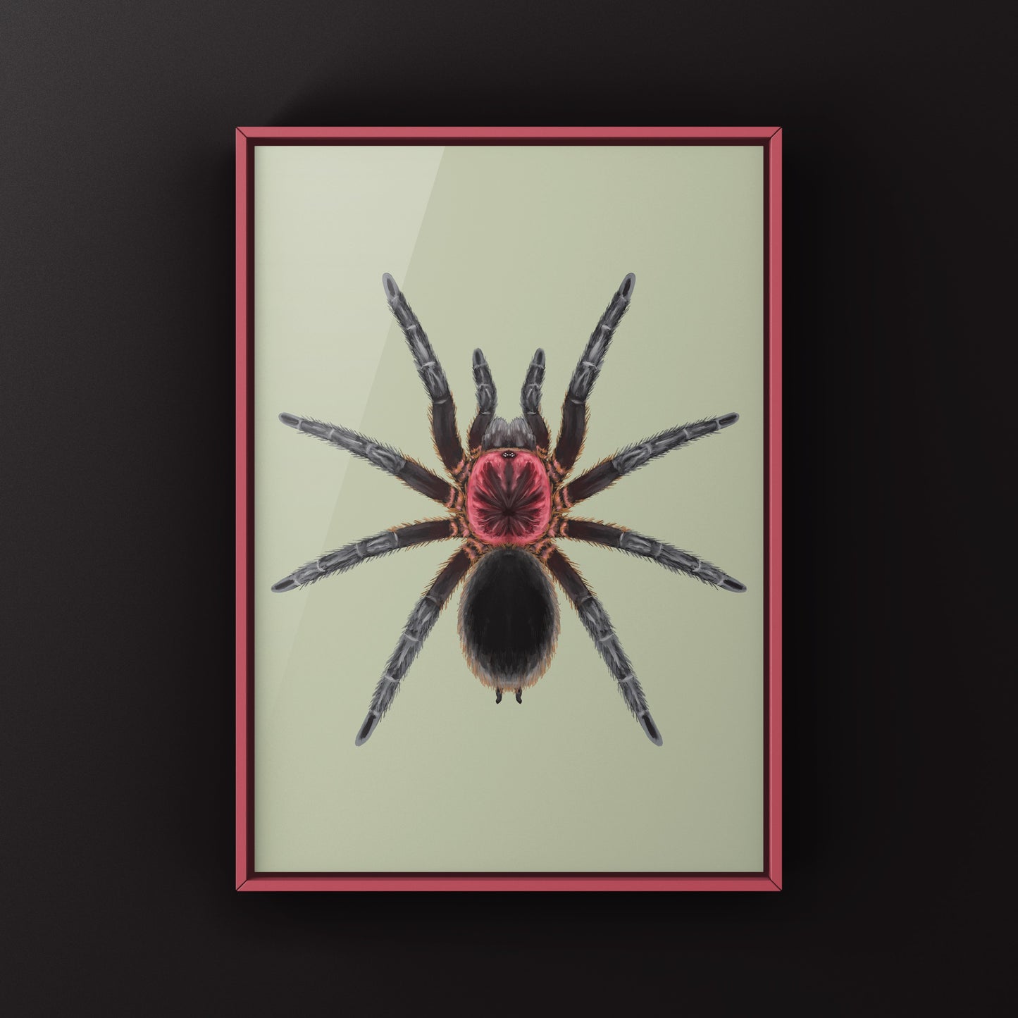 Tapajos Pink Head Tarantula Art Print (Bumba tapajos)