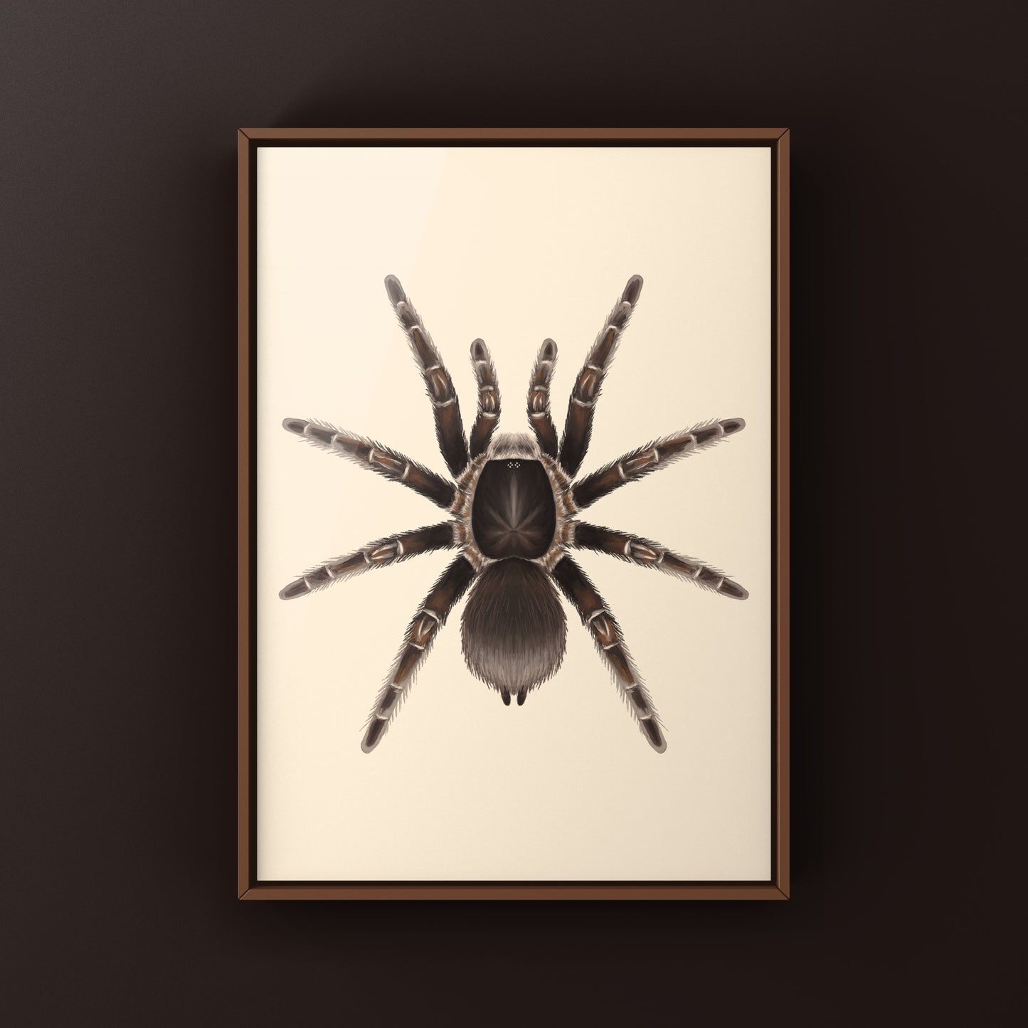 Cameroon Red Baboon Tarantula Art Print (Hysterocrates gigas)