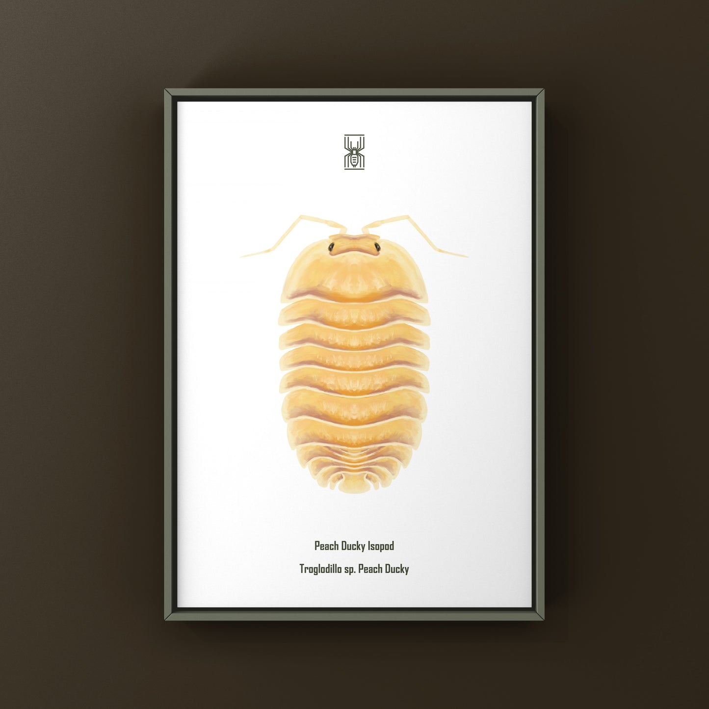 Peach Ducky Isopod Art Print (Troglodillo sp. Peach Ducky)