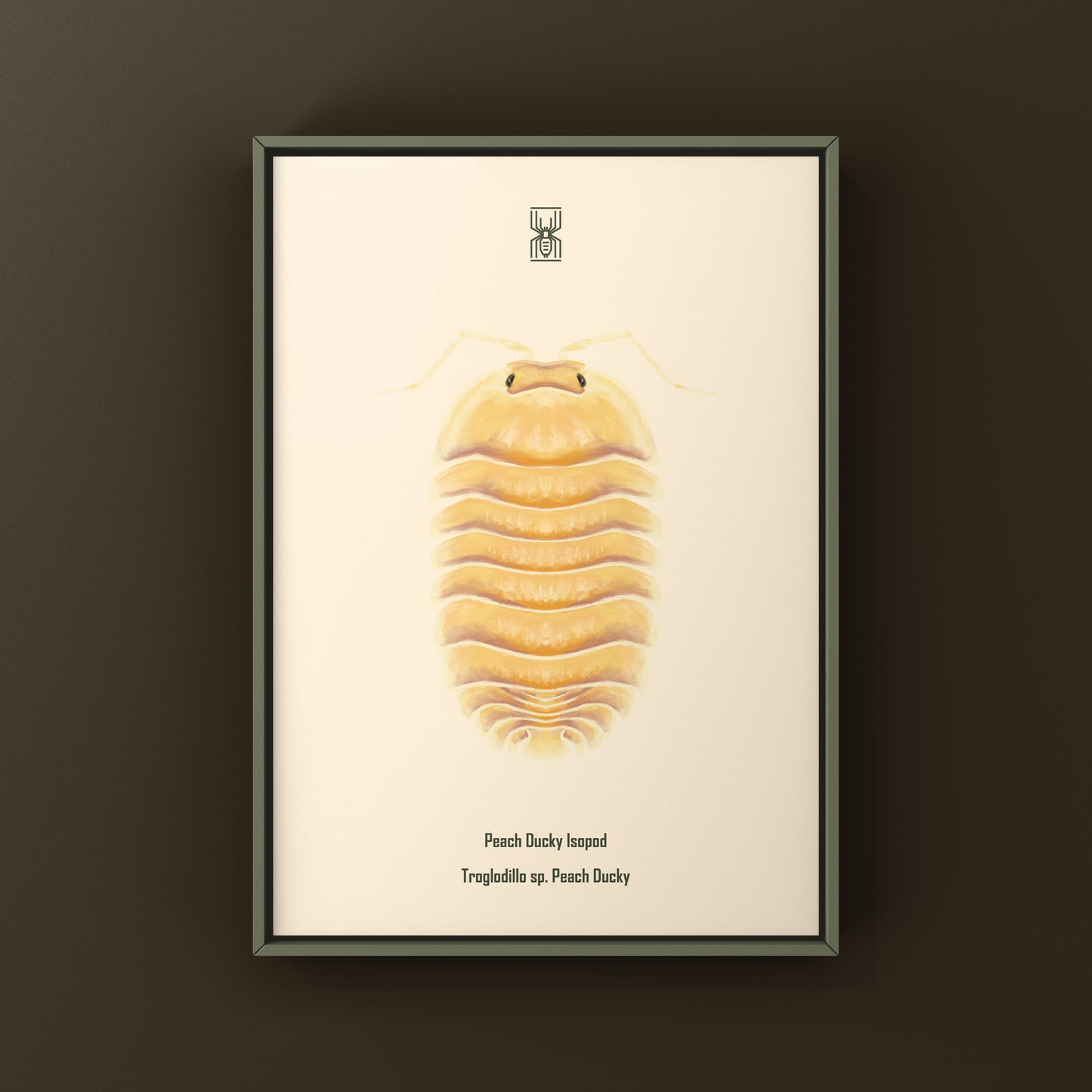 Peach Ducky Isopod Art Print (Troglodillo sp. Peach Ducky)