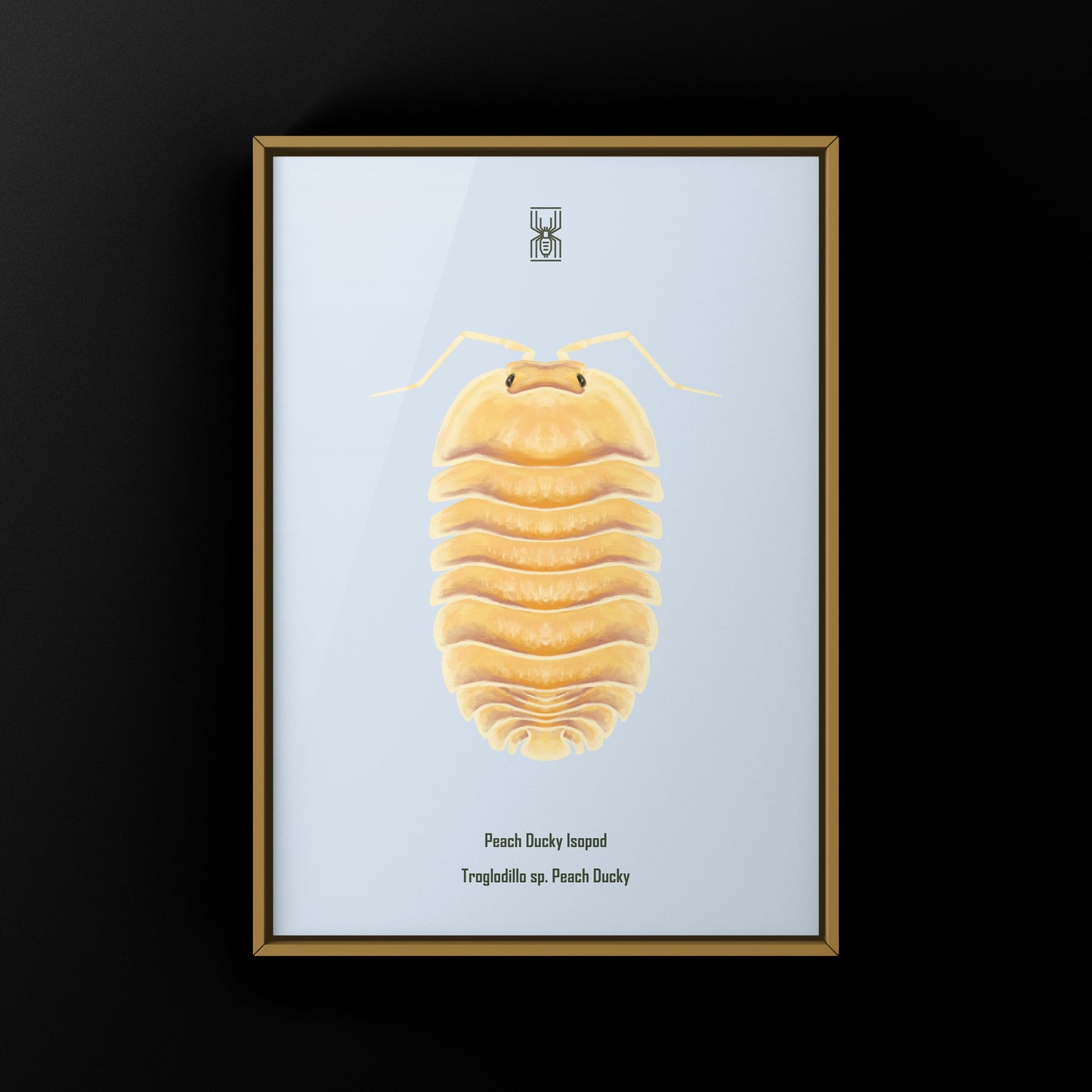 Peach Ducky Isopod Art Print (Troglodillo sp. Peach Ducky)