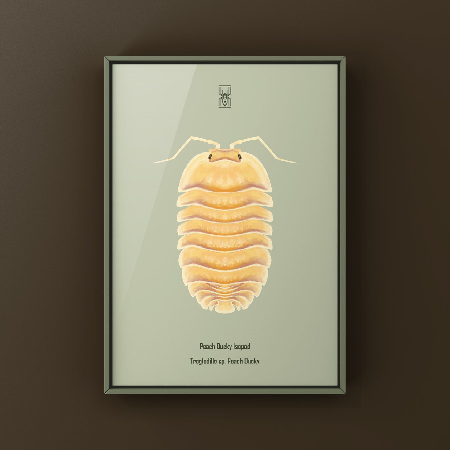 Peach Ducky Isopod Art Print (Troglodillo sp. Peach Ducky)