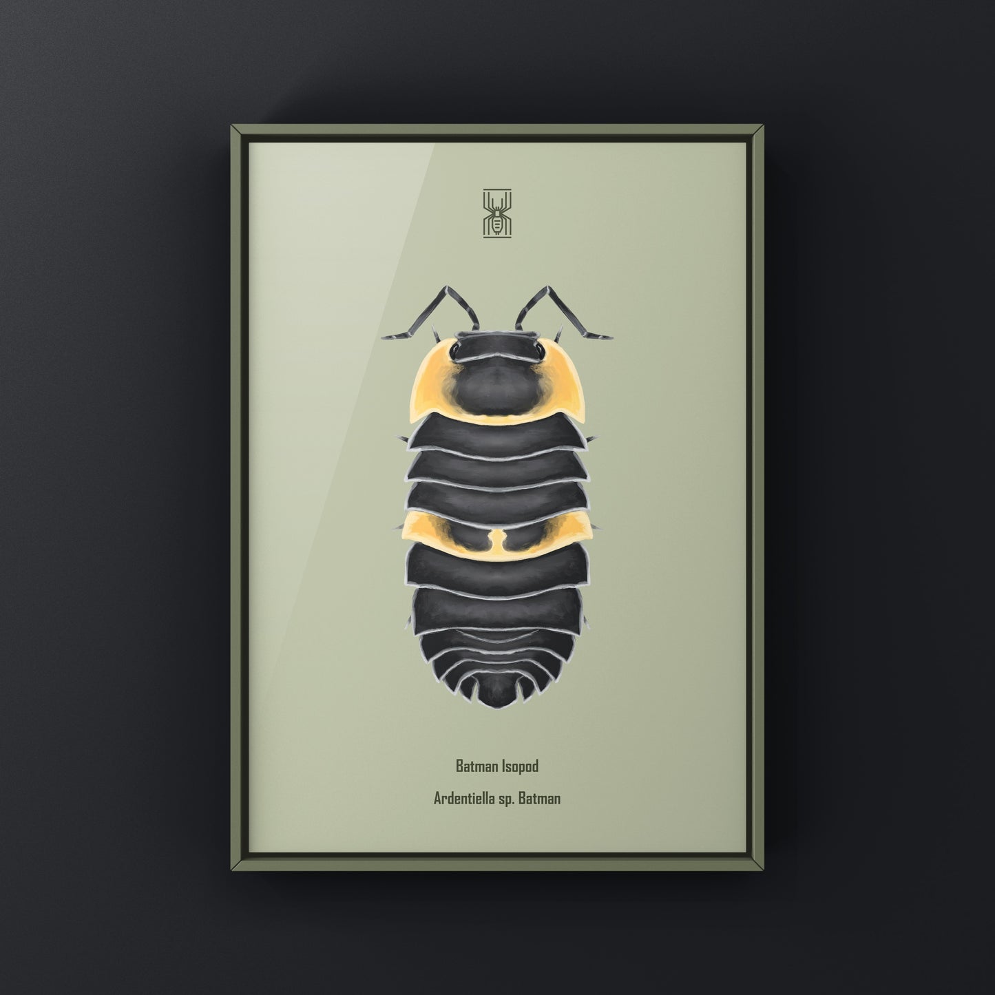 Batman Isopod Art Print (Ardentiella sp. Batman)