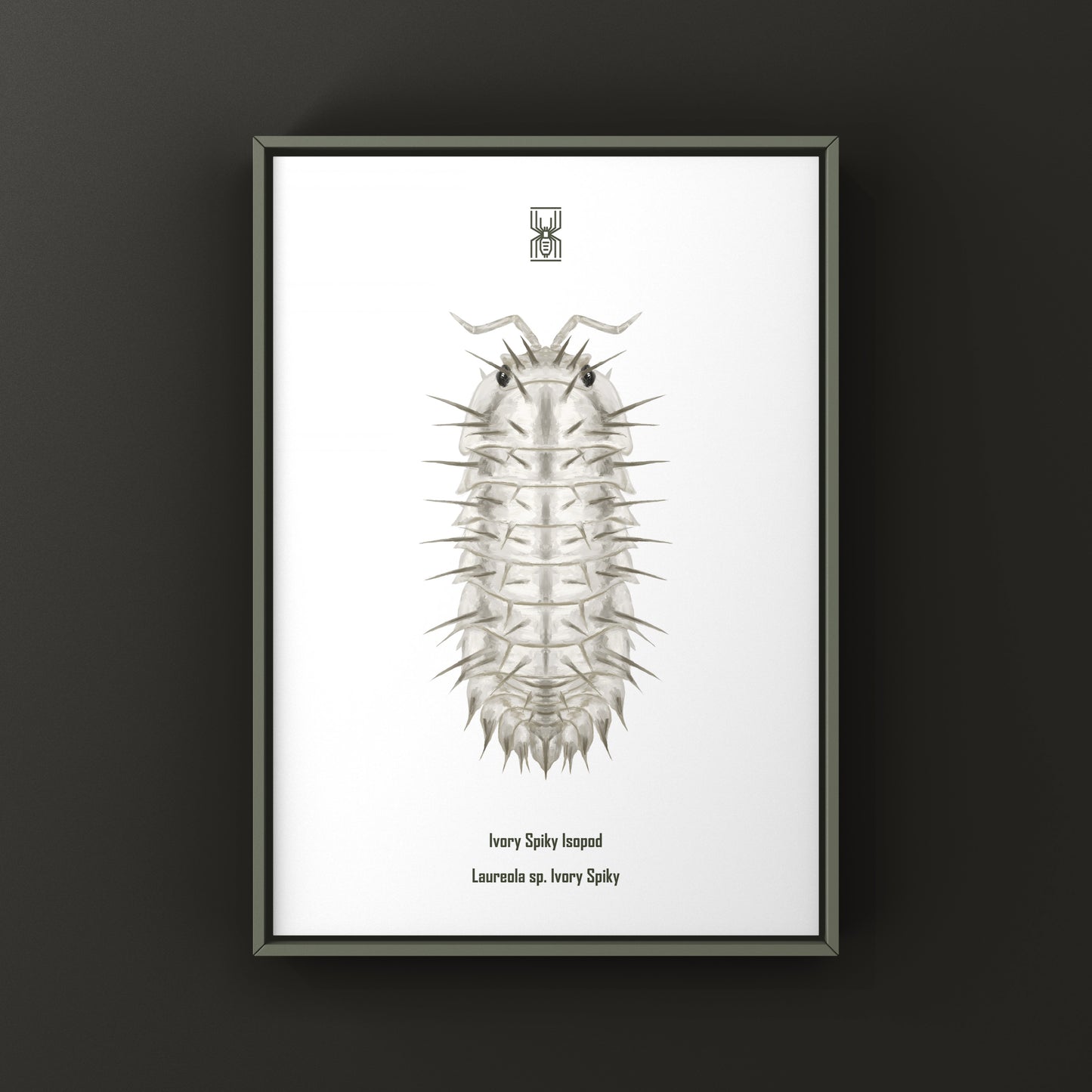 Ivory Spiky Isopod Art Print (Lareola sp. Ivory Spiky)