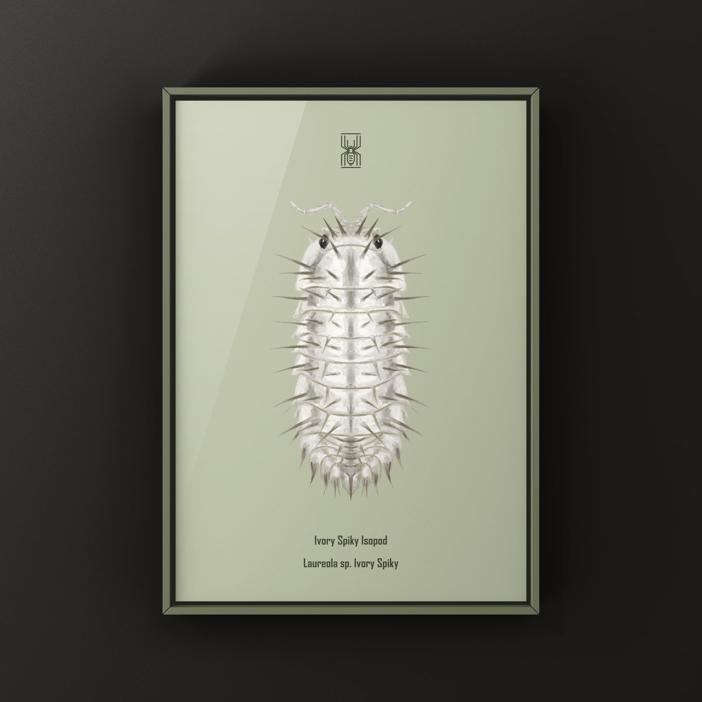 Ivory Spiky Isopod Art Print (Lareola sp. Ivory Spiky)