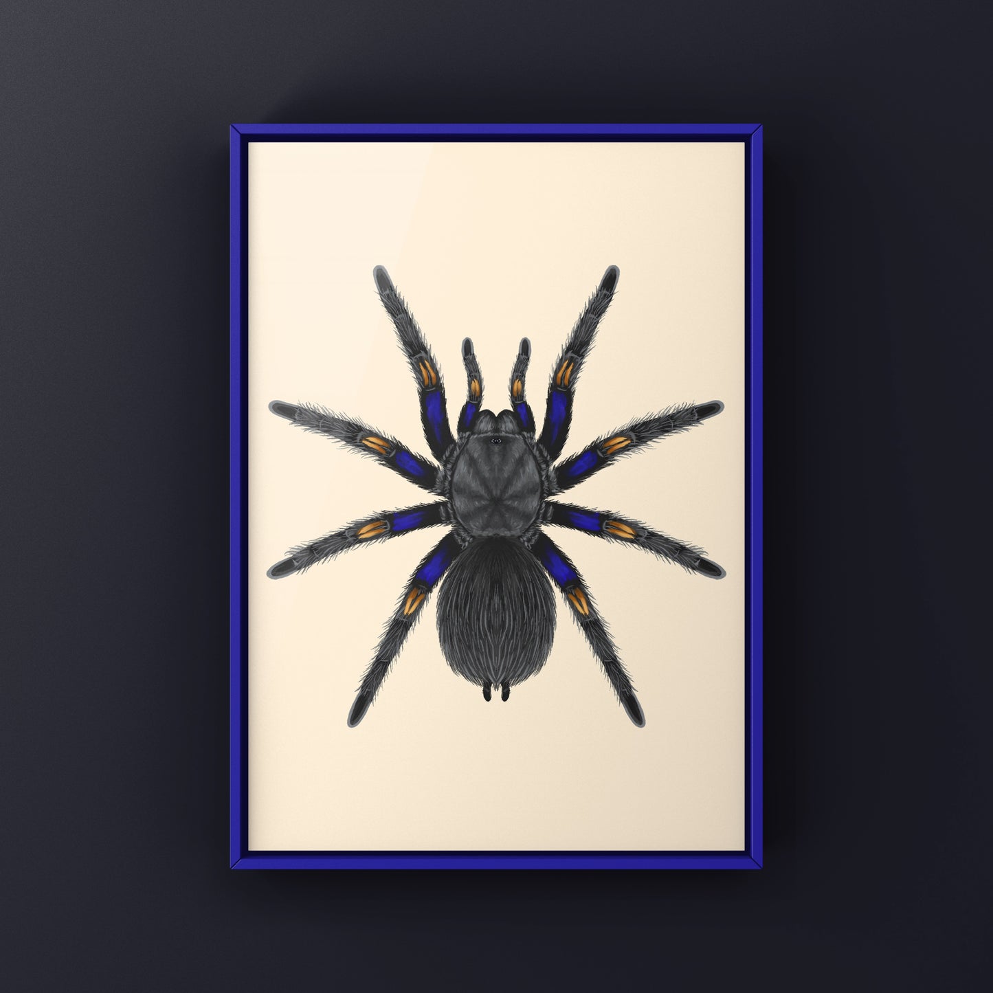 Chilean Blue Beauty Tarantula Art Print (Euathlus truculentus)