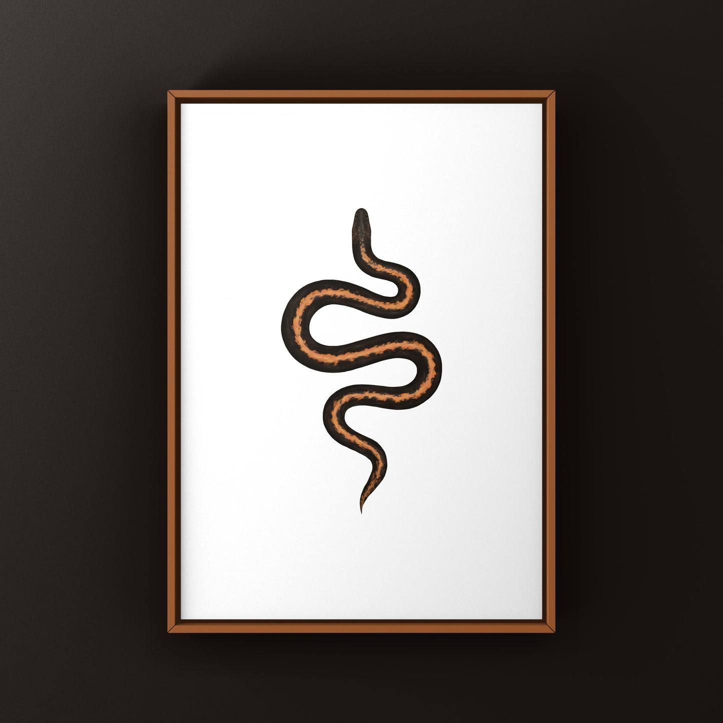 Stripe Kenyan Sand Boa Art Print (Gongylophis colubrinus)