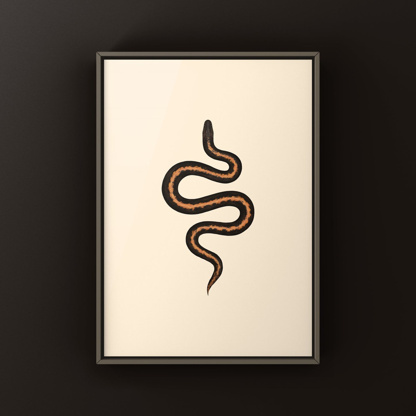 Stripe Kenyan Sand Boa Art Print (Gongylophis colubrinus)